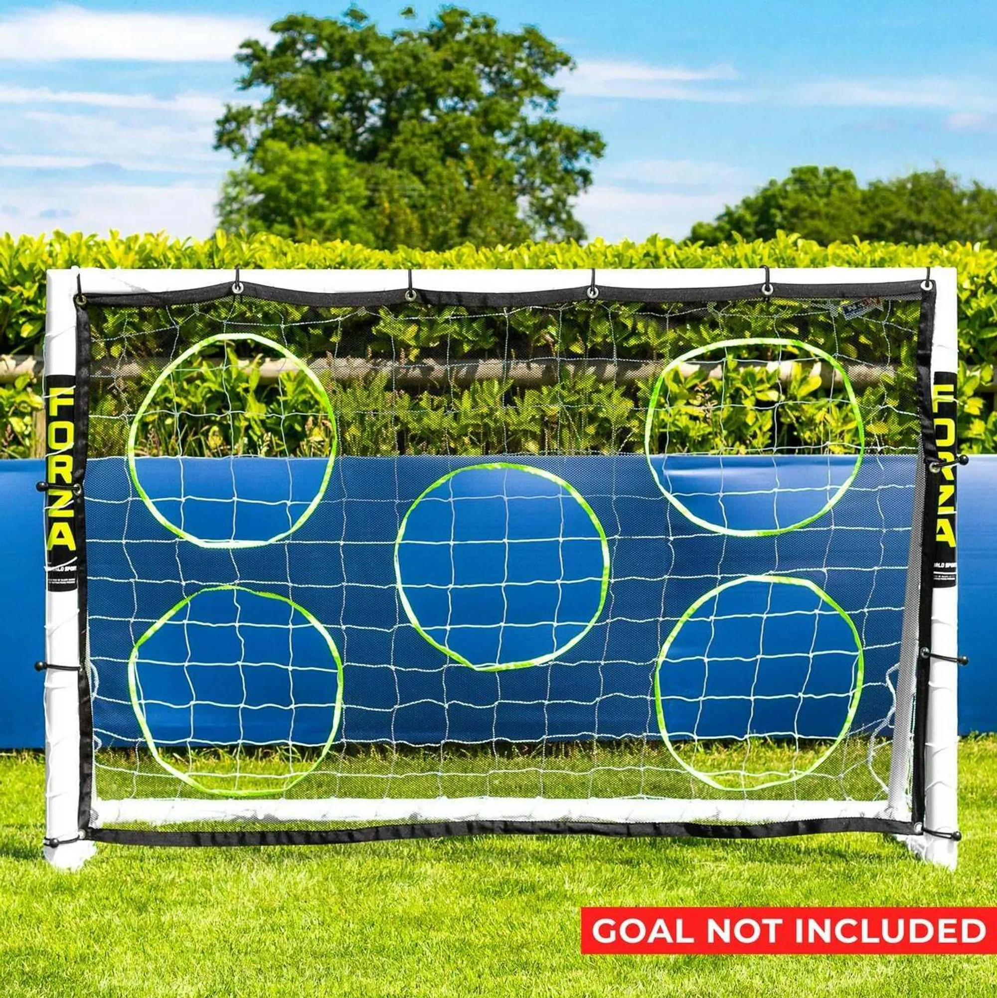 FORZA Football Goal Target Sheets
