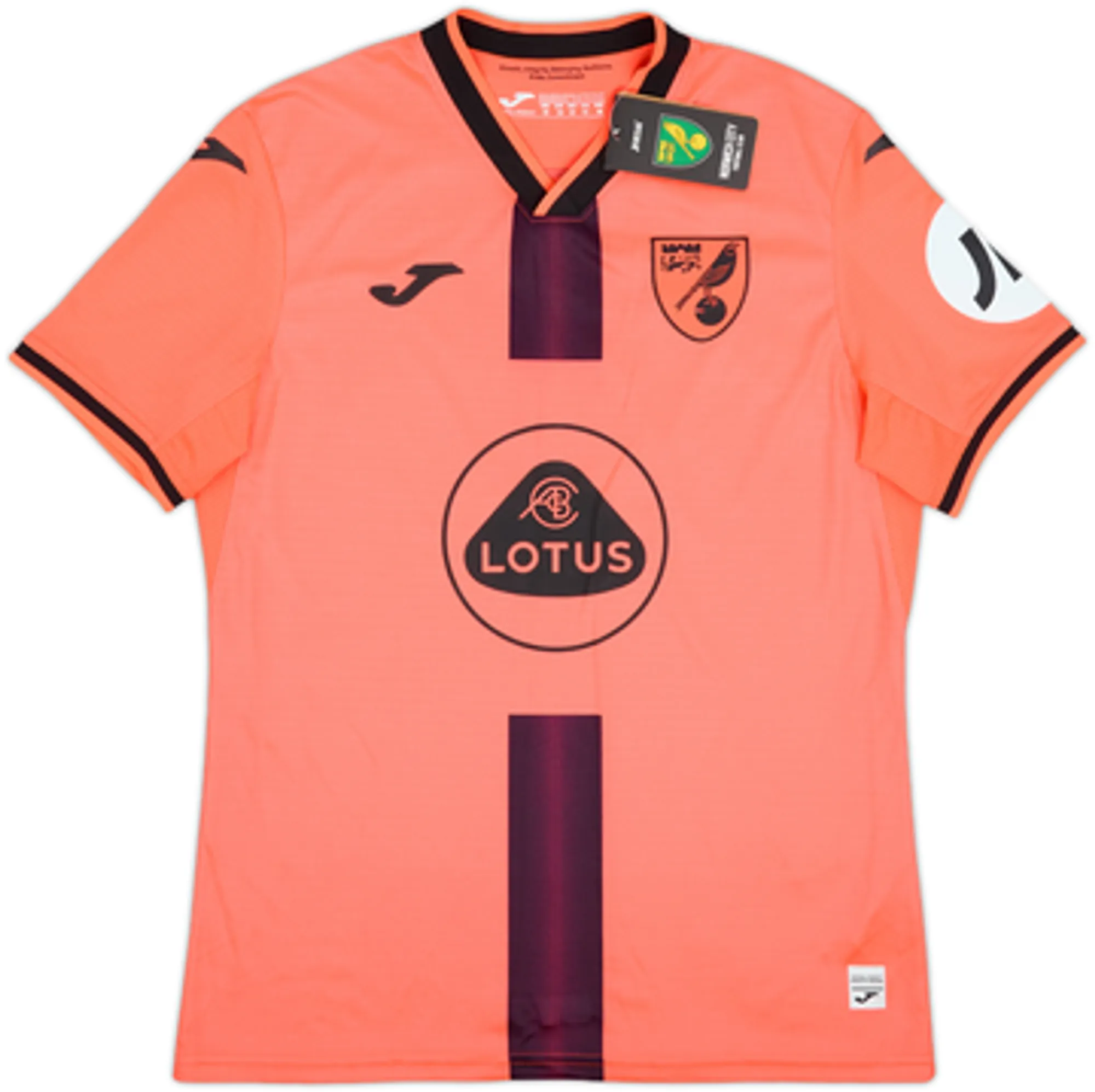 Joma Norwich City Mens SS Third Shirt 2021/22