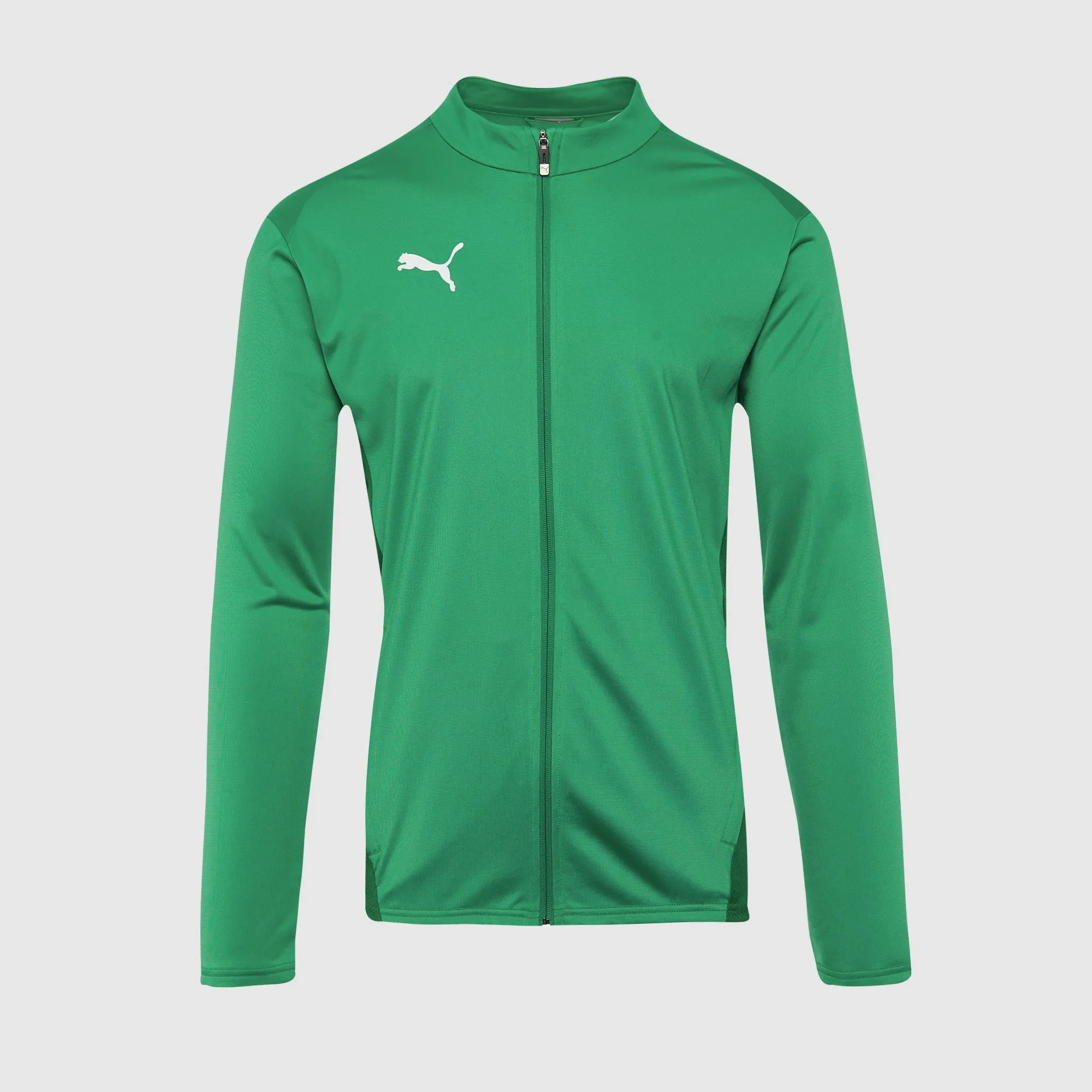 Puma teamGOAL 24 Training Jacket