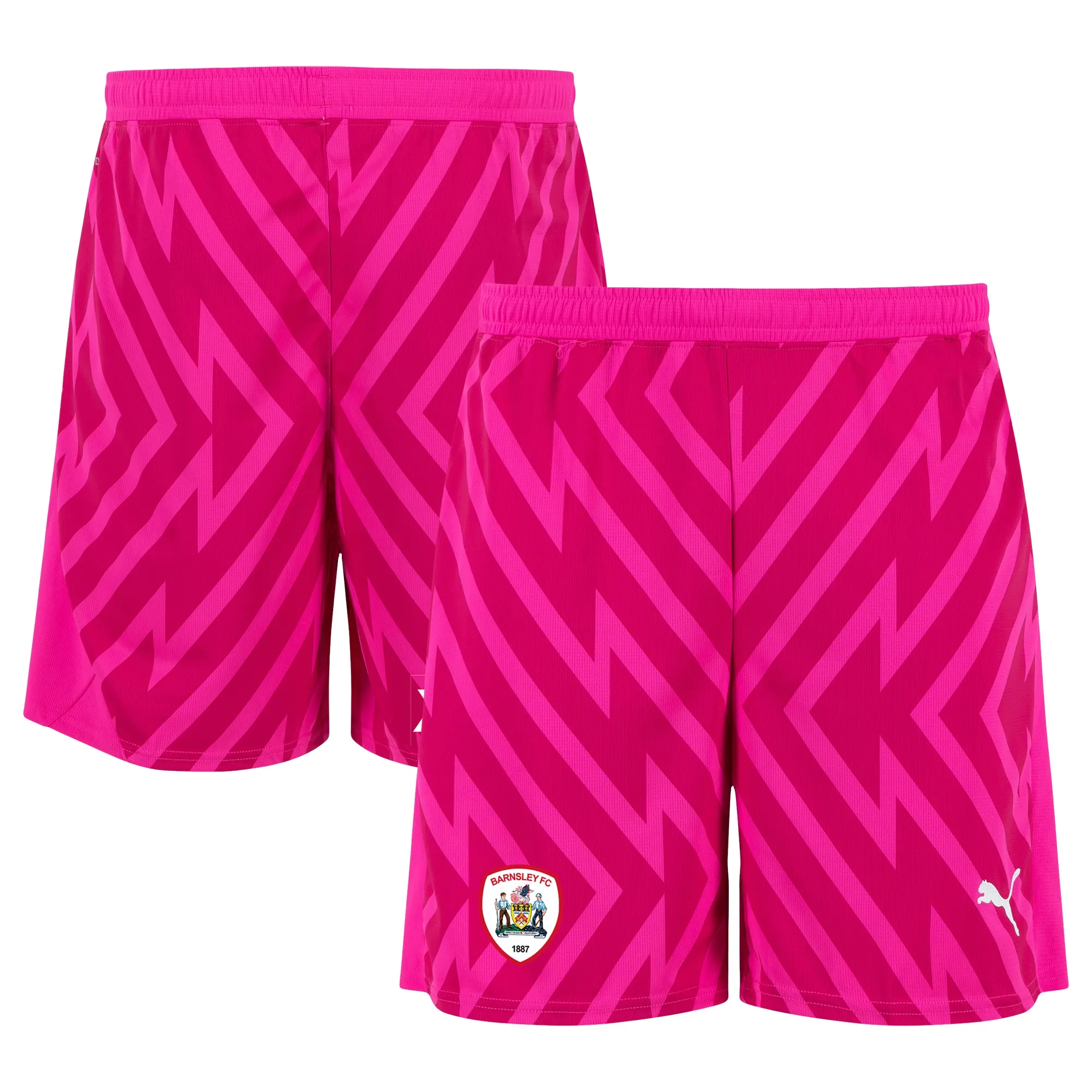 Barnsley Puma Goalkeeper Shorts 2023-24