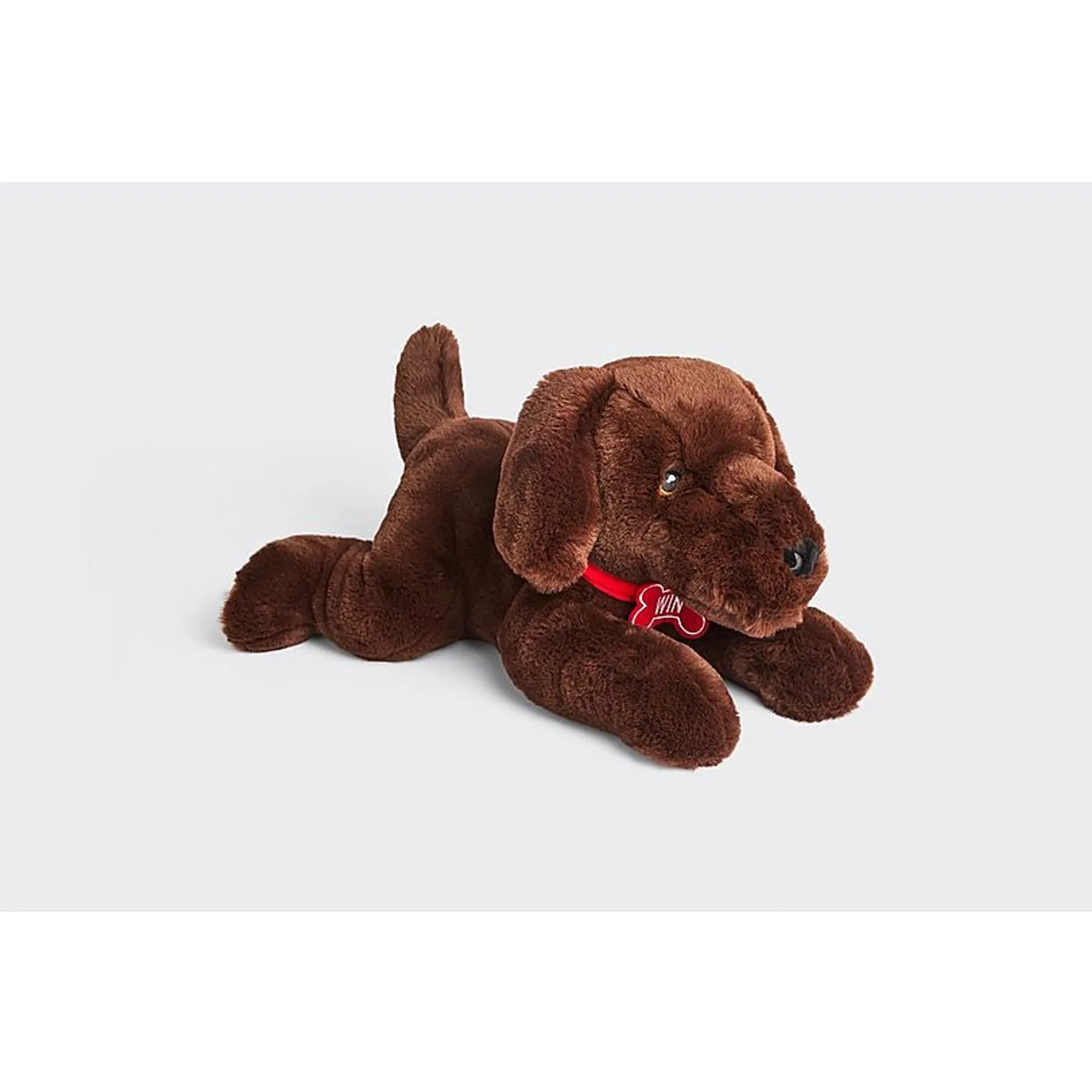 Arsenal Win the Dog Plush Toy, Multicolor