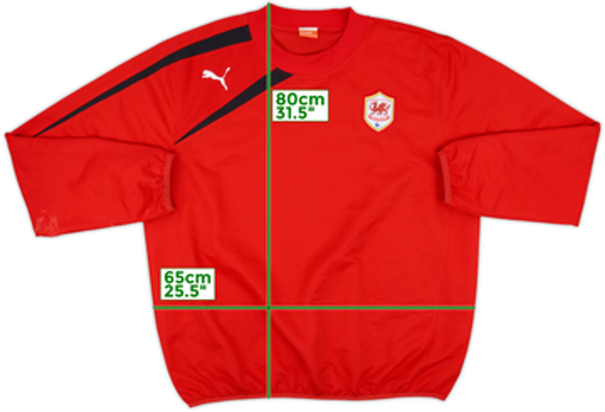 Puma Cardiff City Mens SS Home Shirt 2012/13