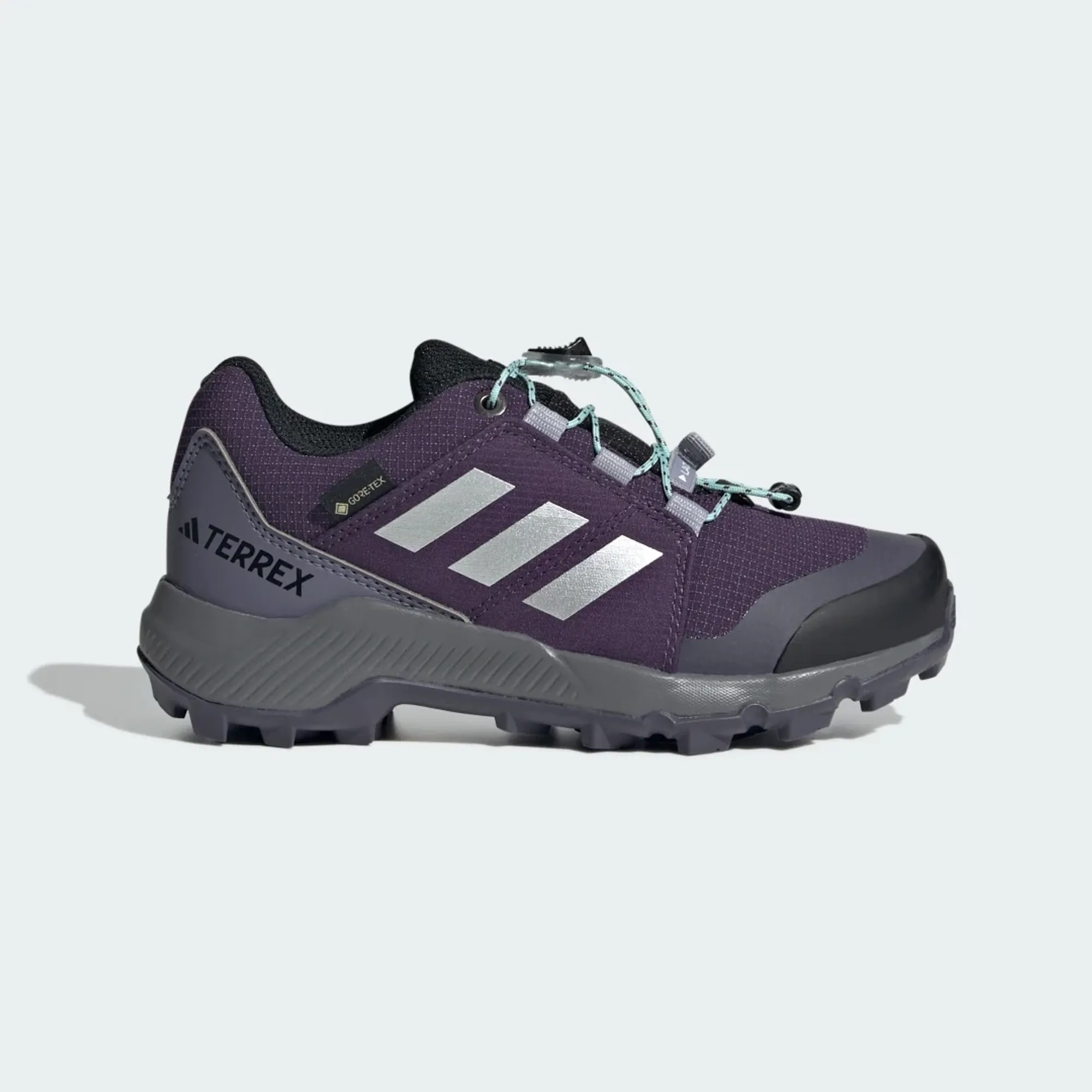 adidas Terrex GORE-TEX Hiking Shoes
