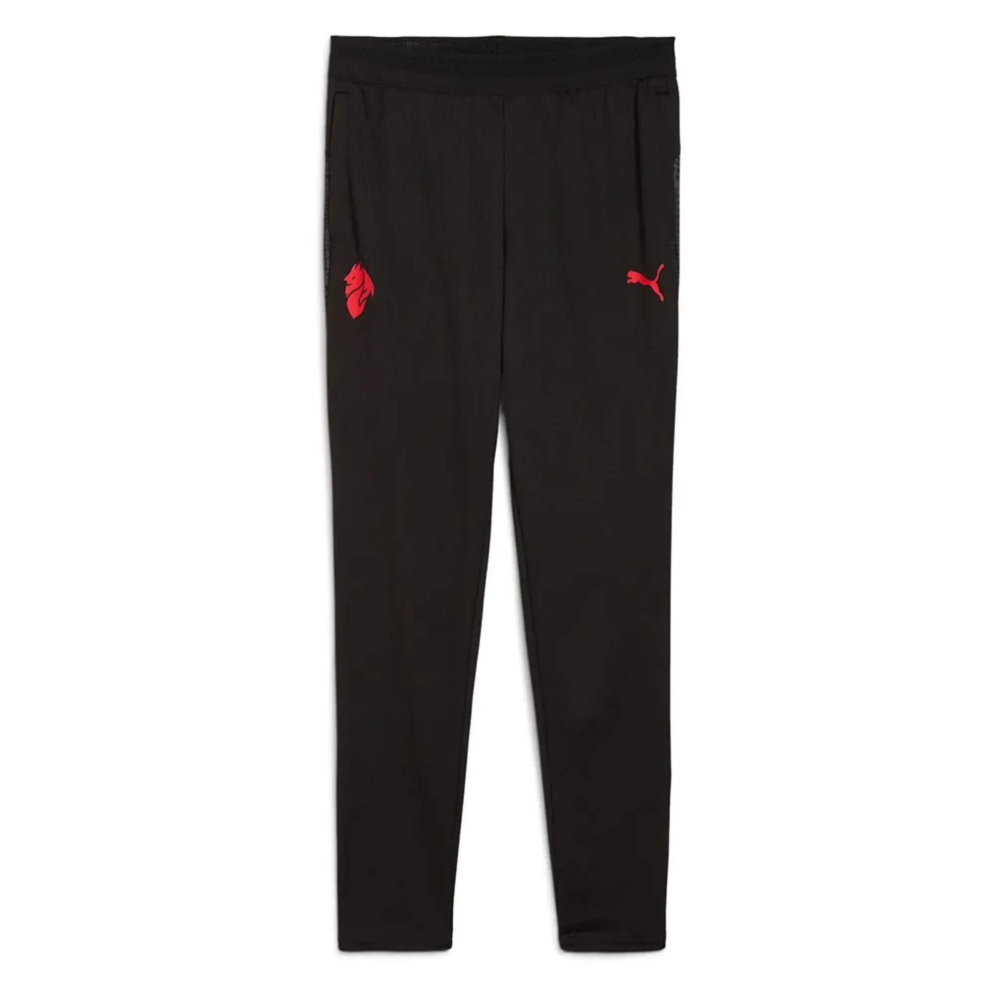 PUMA AC Milan Training Pants Youth, Black/For All Time Red, size 11-12 Youth