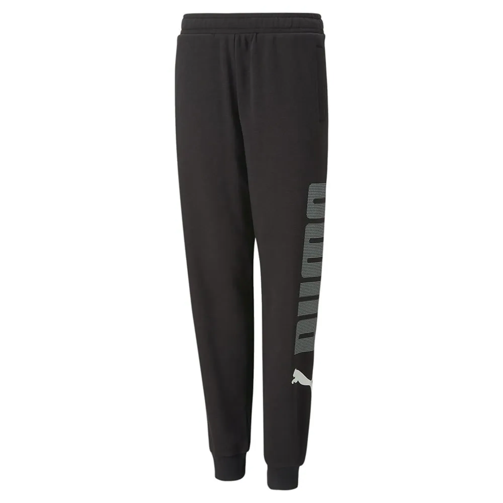 Puma Ess+ Logolab Pants