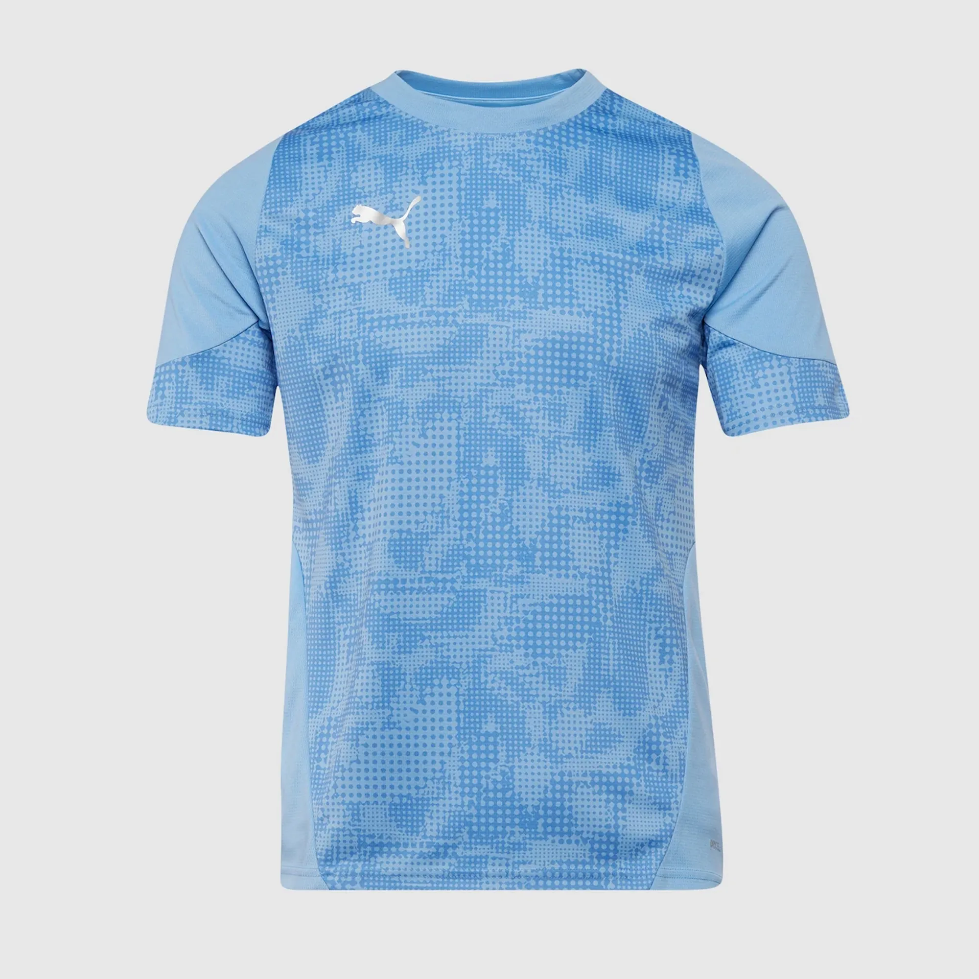 Puma teamCUP 25 Slim SS Training Shirt