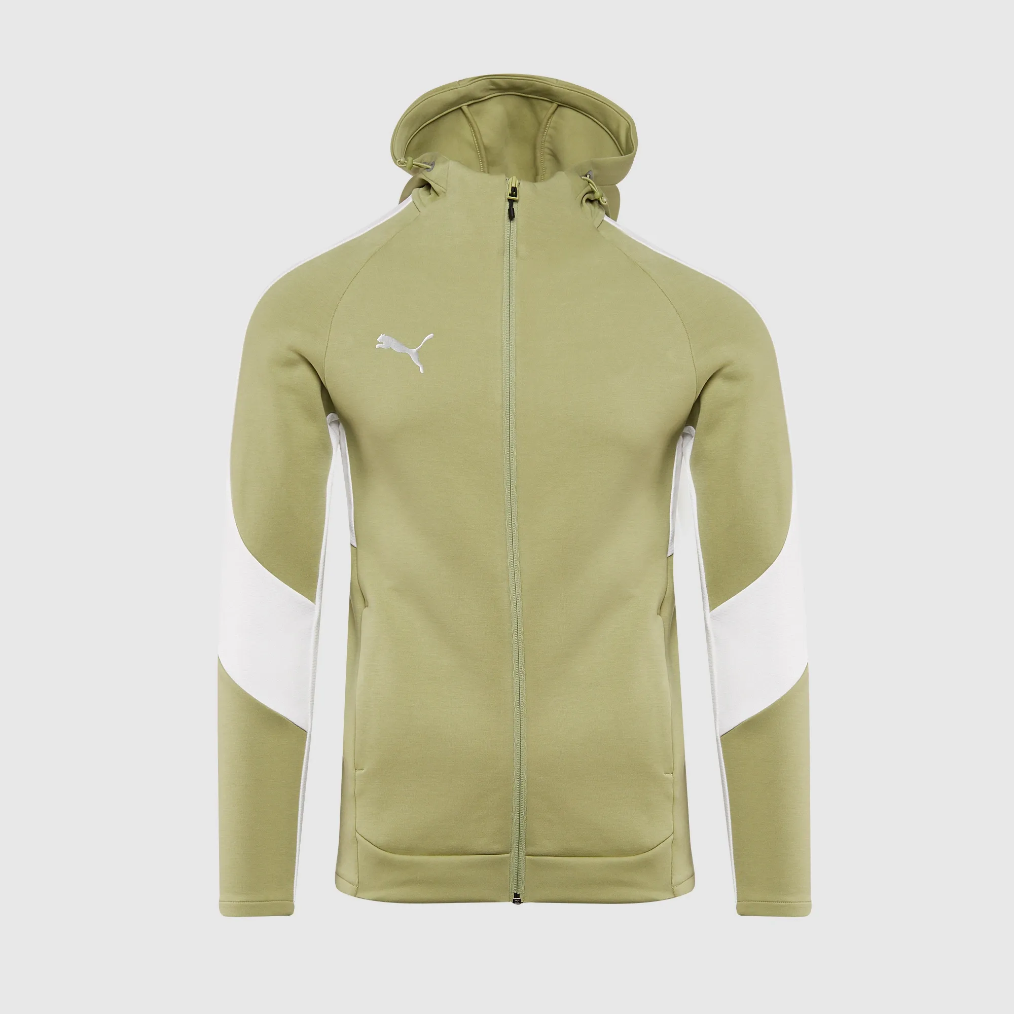 Puma teamEVOSTRIPE 25 Slim Hooded Jacket