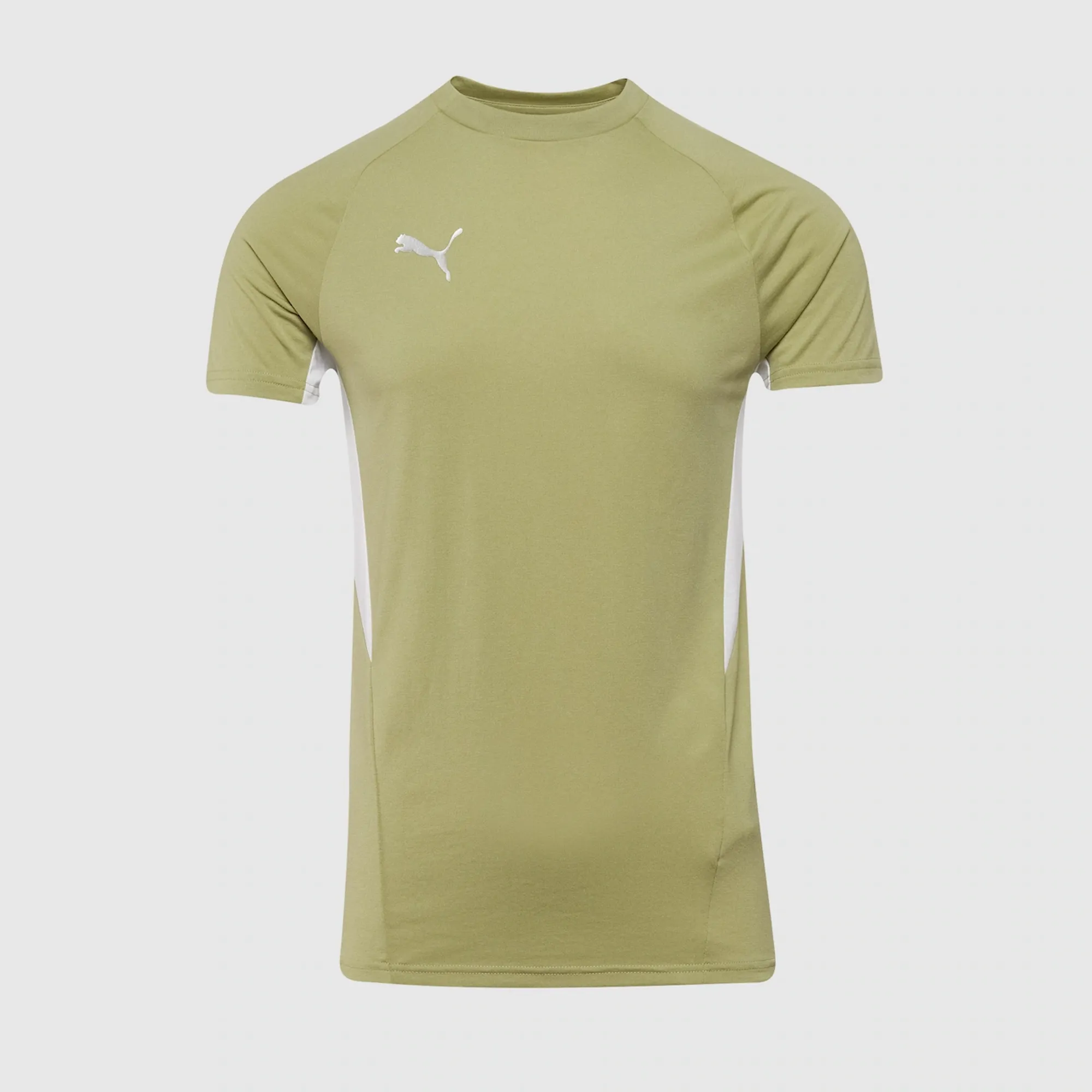 Puma teamEVOSTRIPE 25 Slim SS Tee