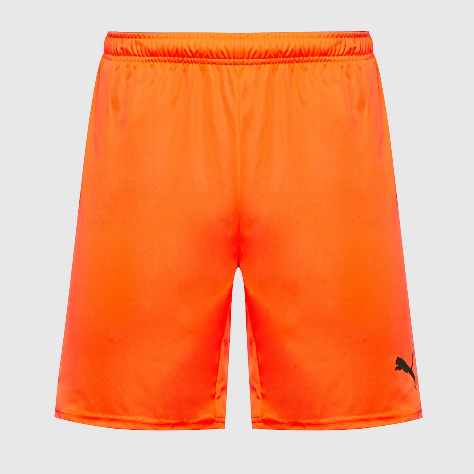 Puma teamGOAL 24 Shorts