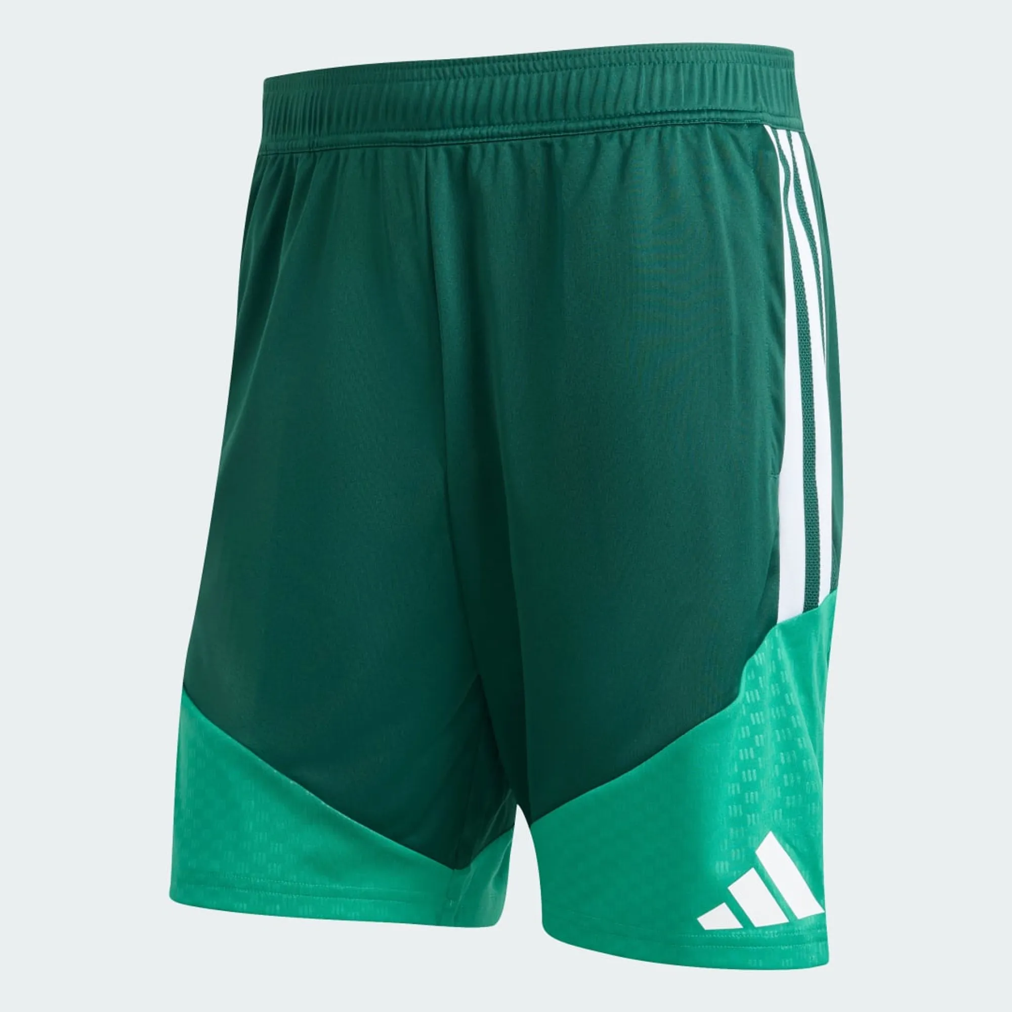 adidas Algeria 26 Training Shorts