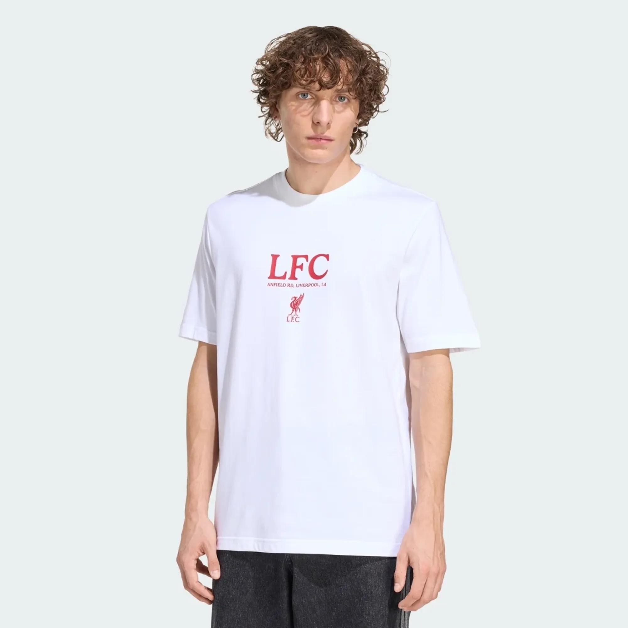 adidas Liverpool FC Seasonal Graphic T-Shirt