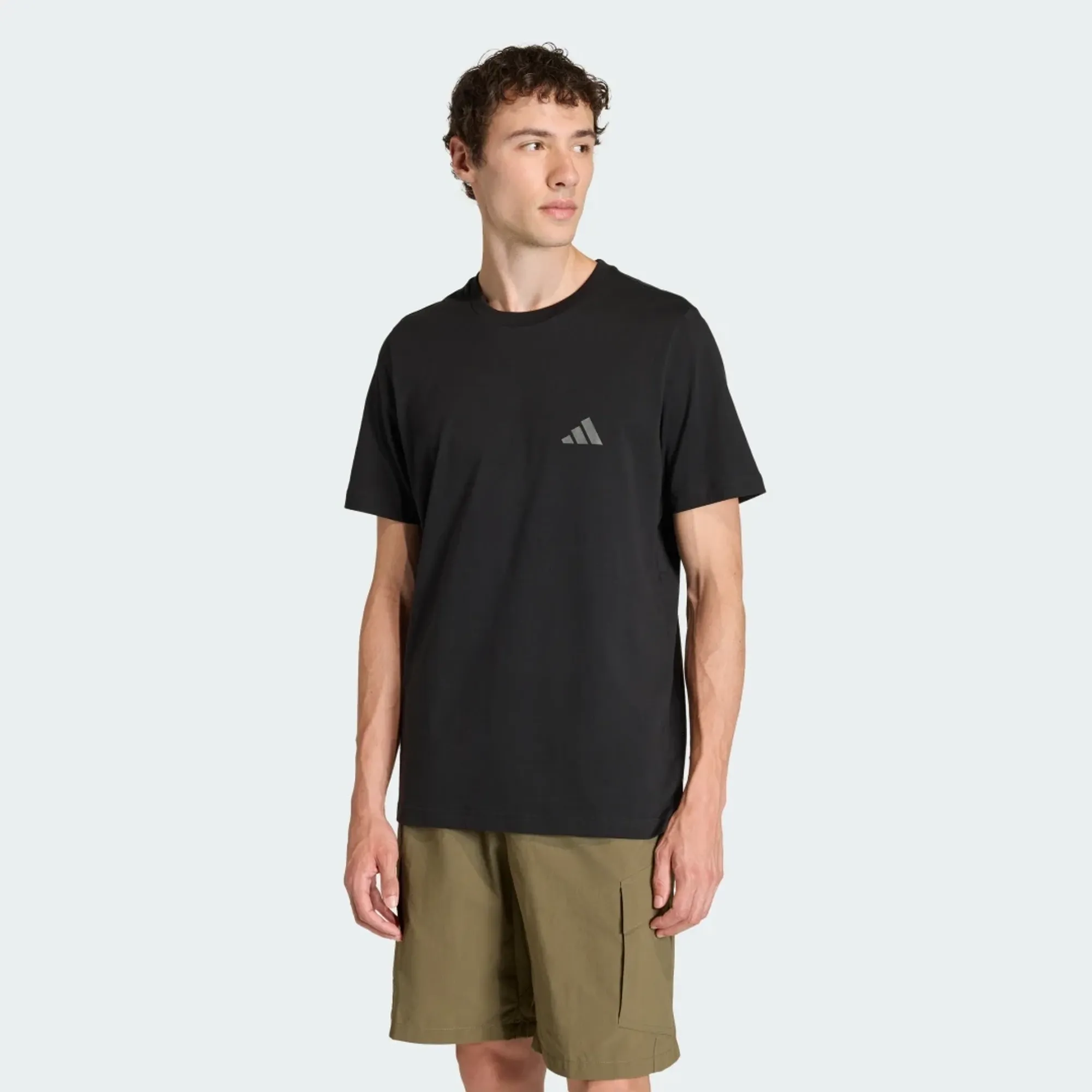 adidas TERREX MOUNTAIN GRAPHIC T-SHIRT
