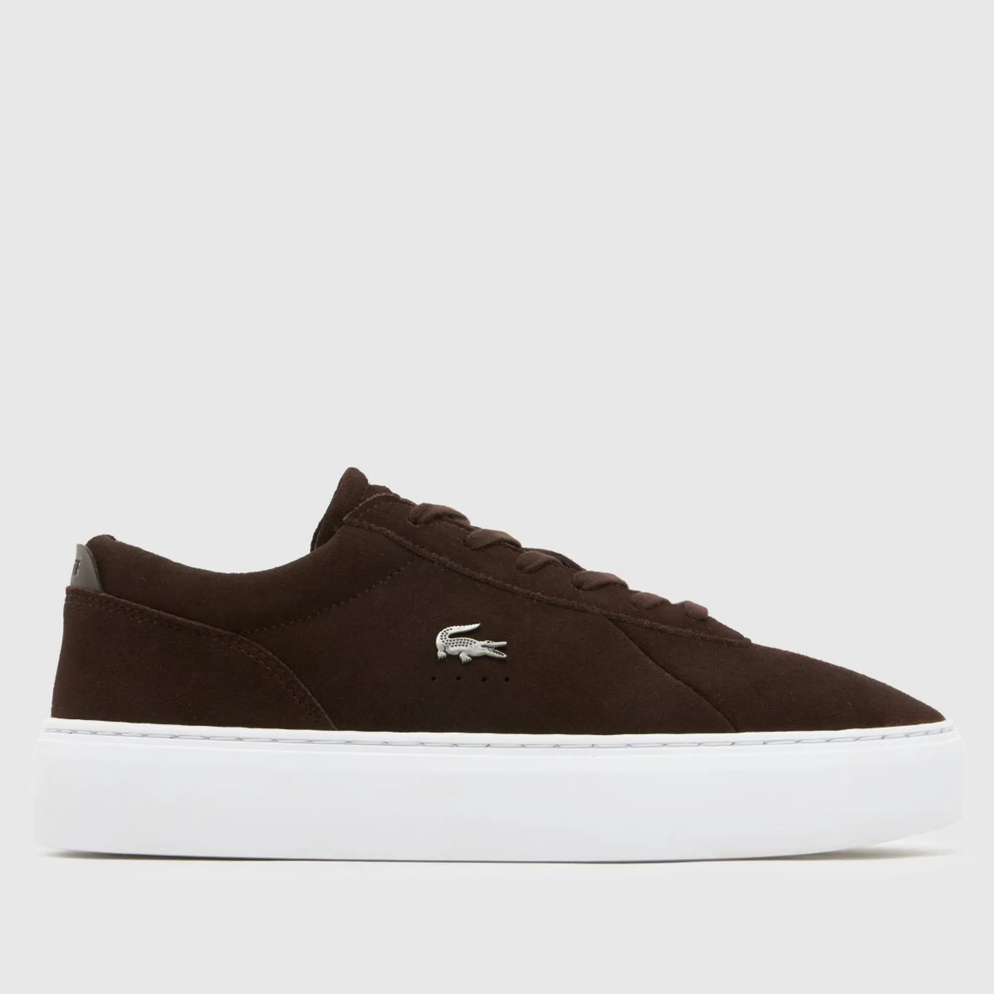 Lacoste Men's Court Set Suede Sneakers - Dark Brown / White