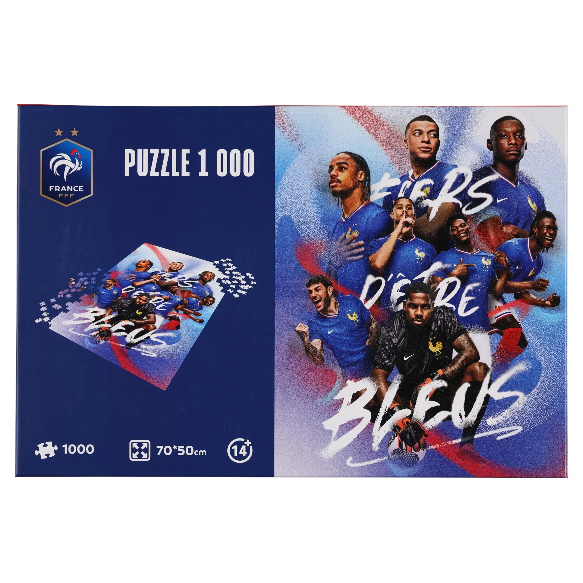 France 1000 Piece Puzzle - 70x50cm