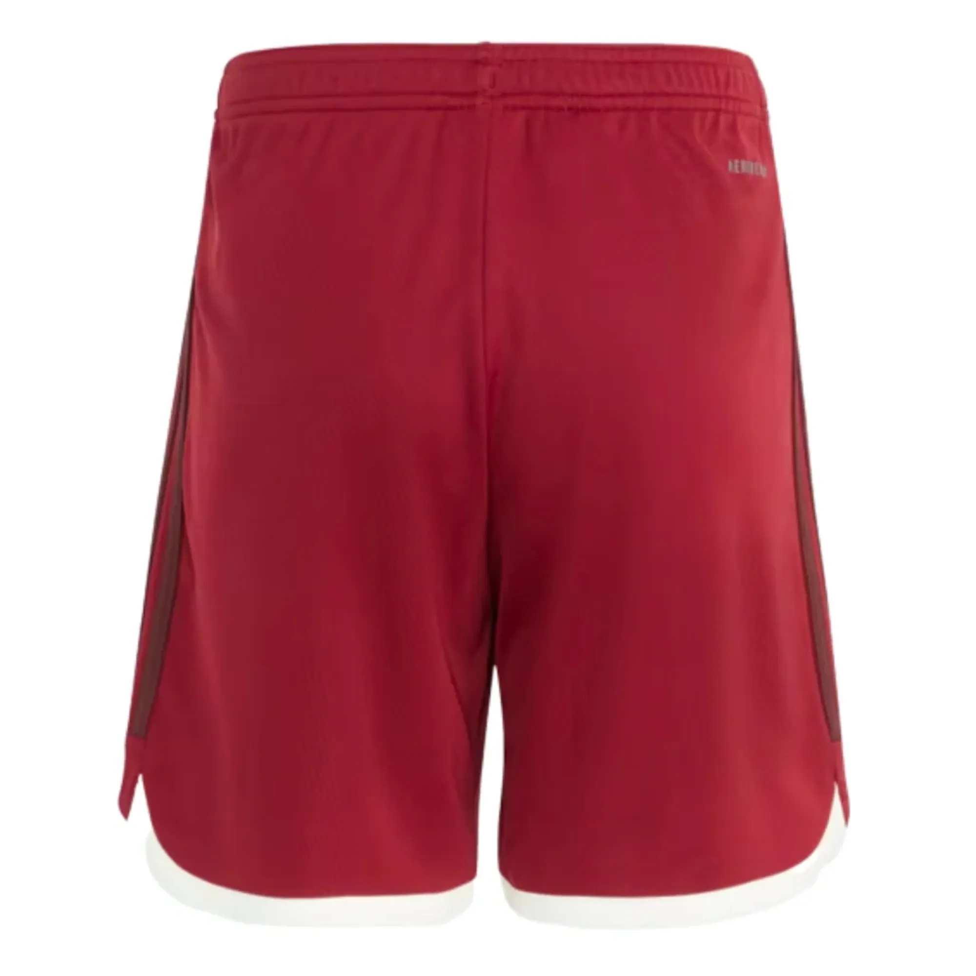 2023-2024 Bayern Munich Third Shorts (Red) - Kids