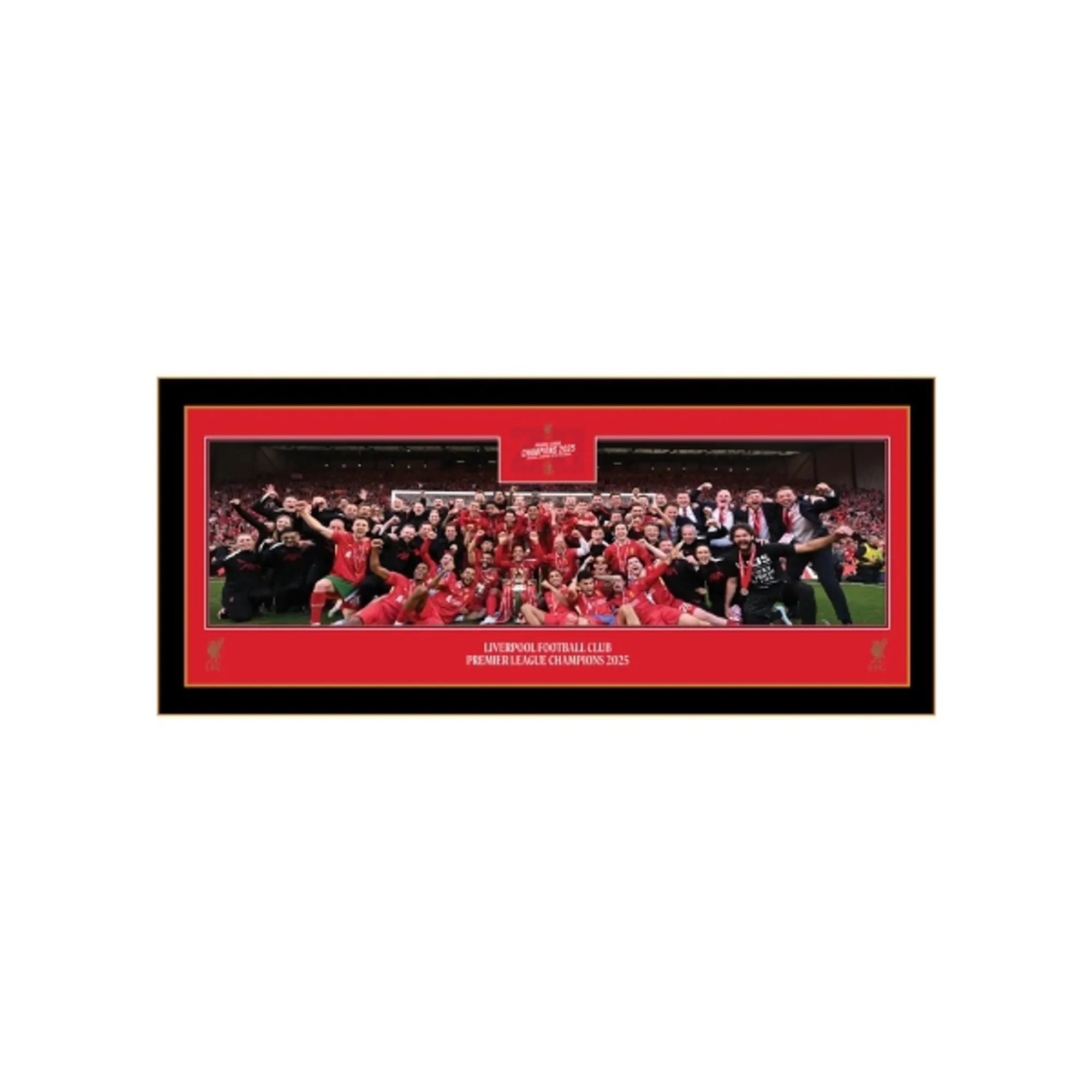 LFC Premier League Trophy Lift 30" Panoramic Image