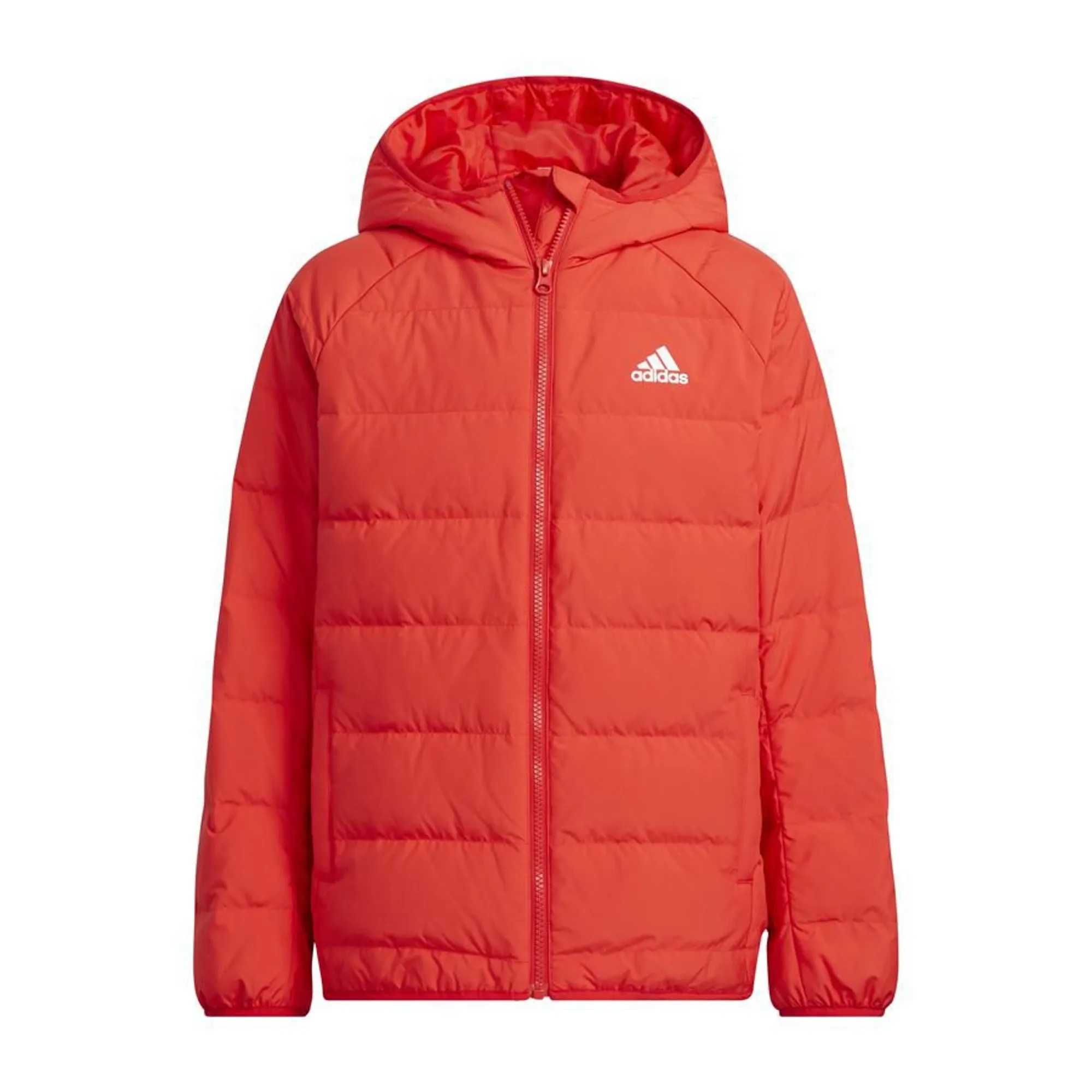 Adidas Winter Jacket Down Frosty - ['Red']