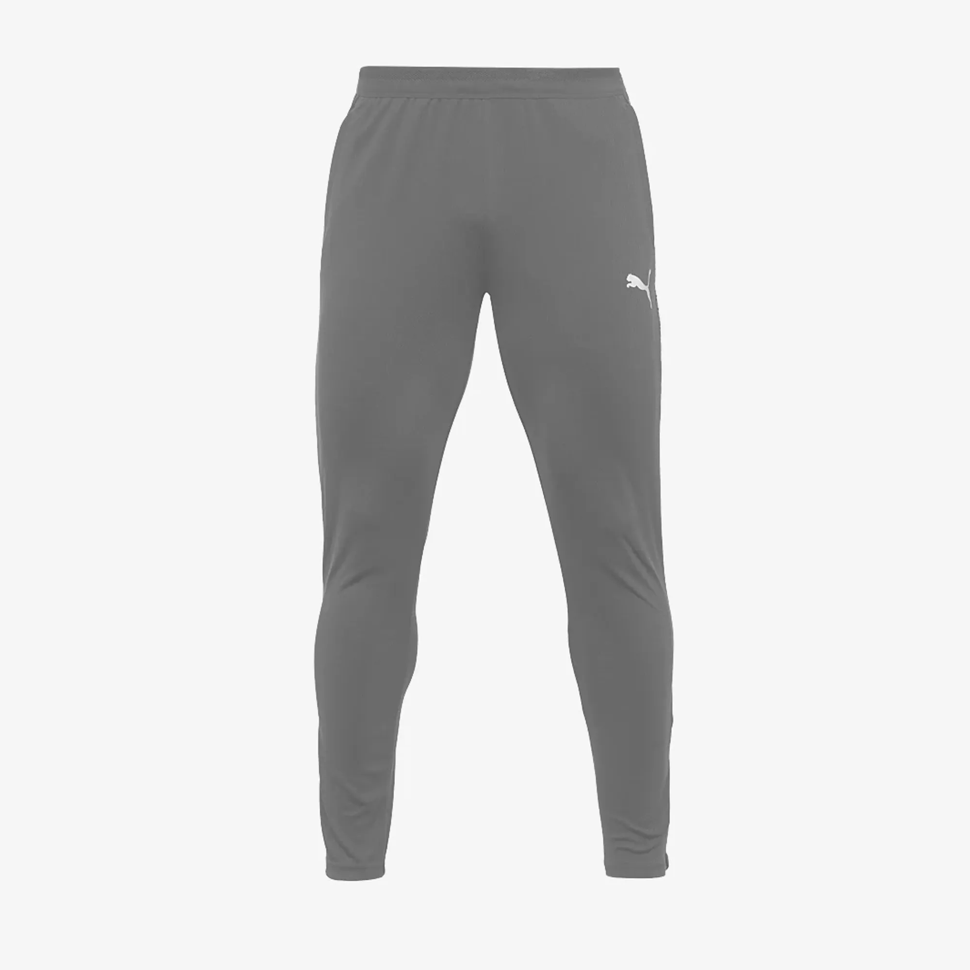 Puma teamCUP 25 Slim Training Pants