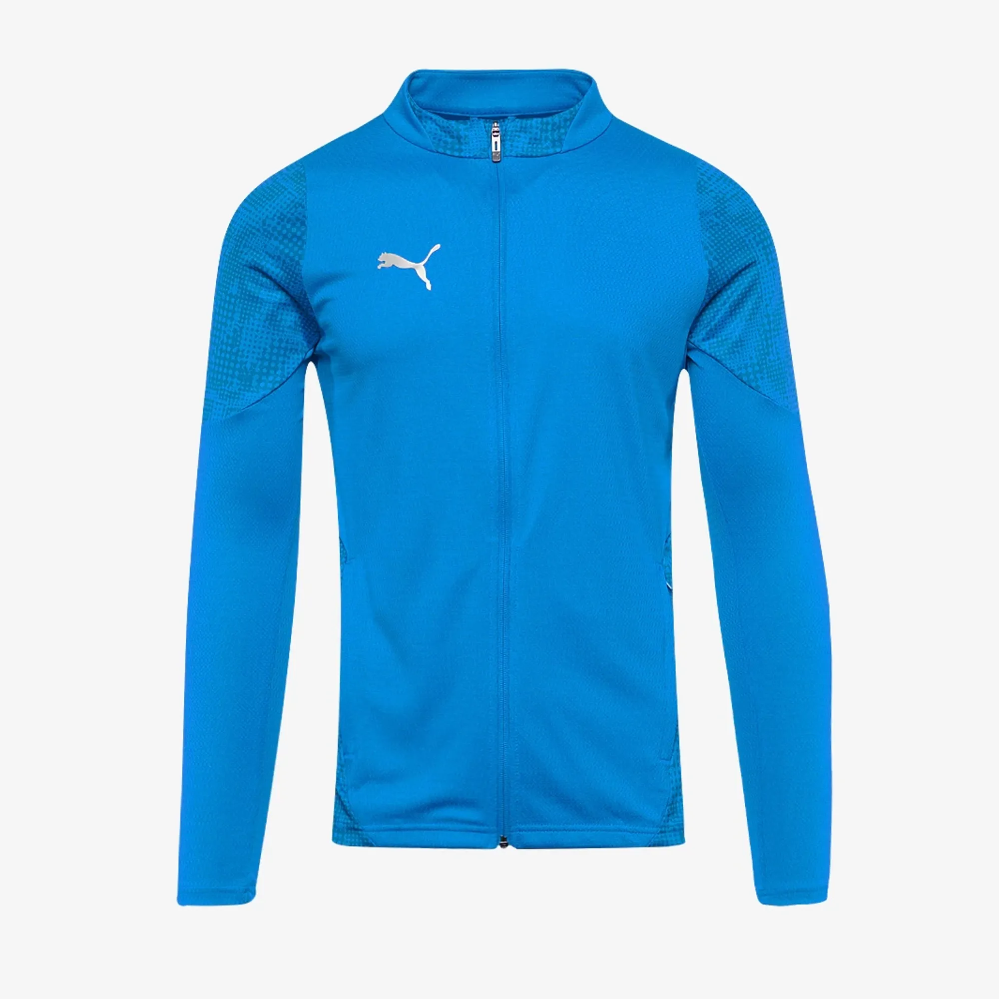 Puma teamCUP 25 Slim Training Jacket