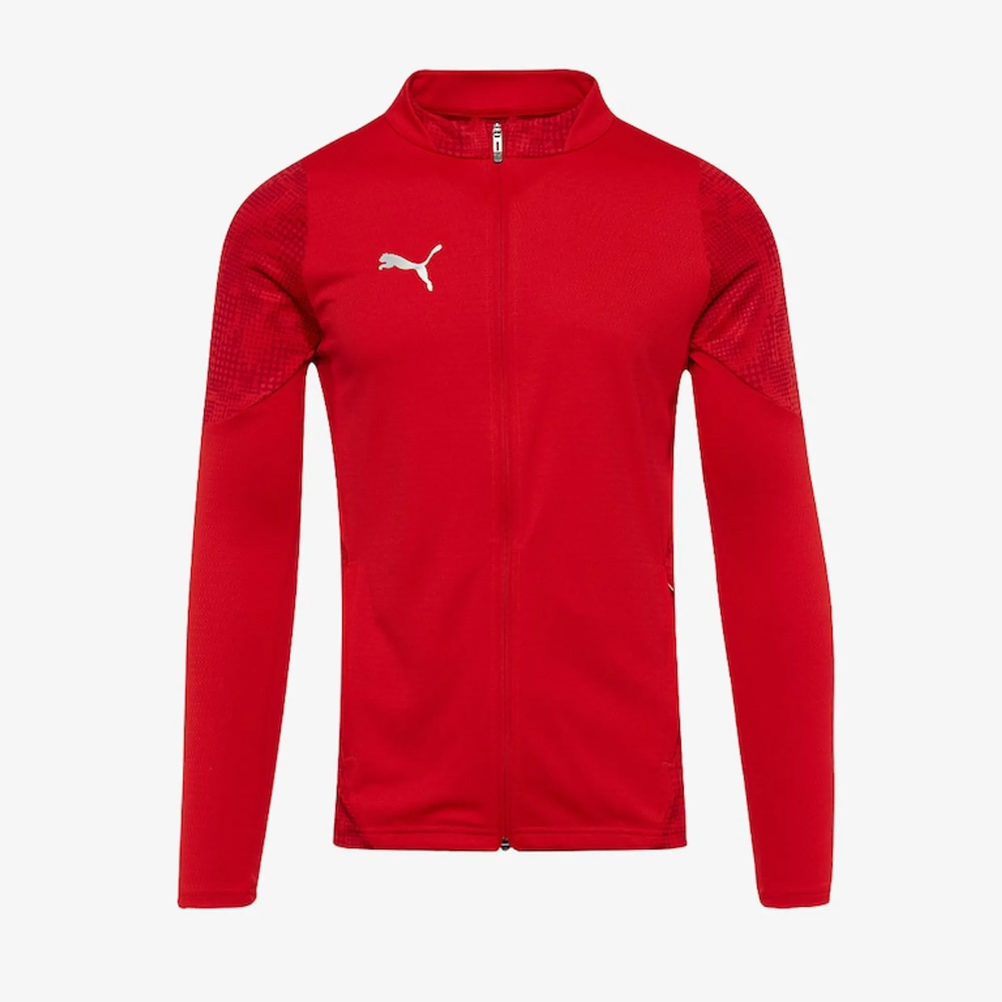 Puma teamCUP 25 Slim Training Jacket