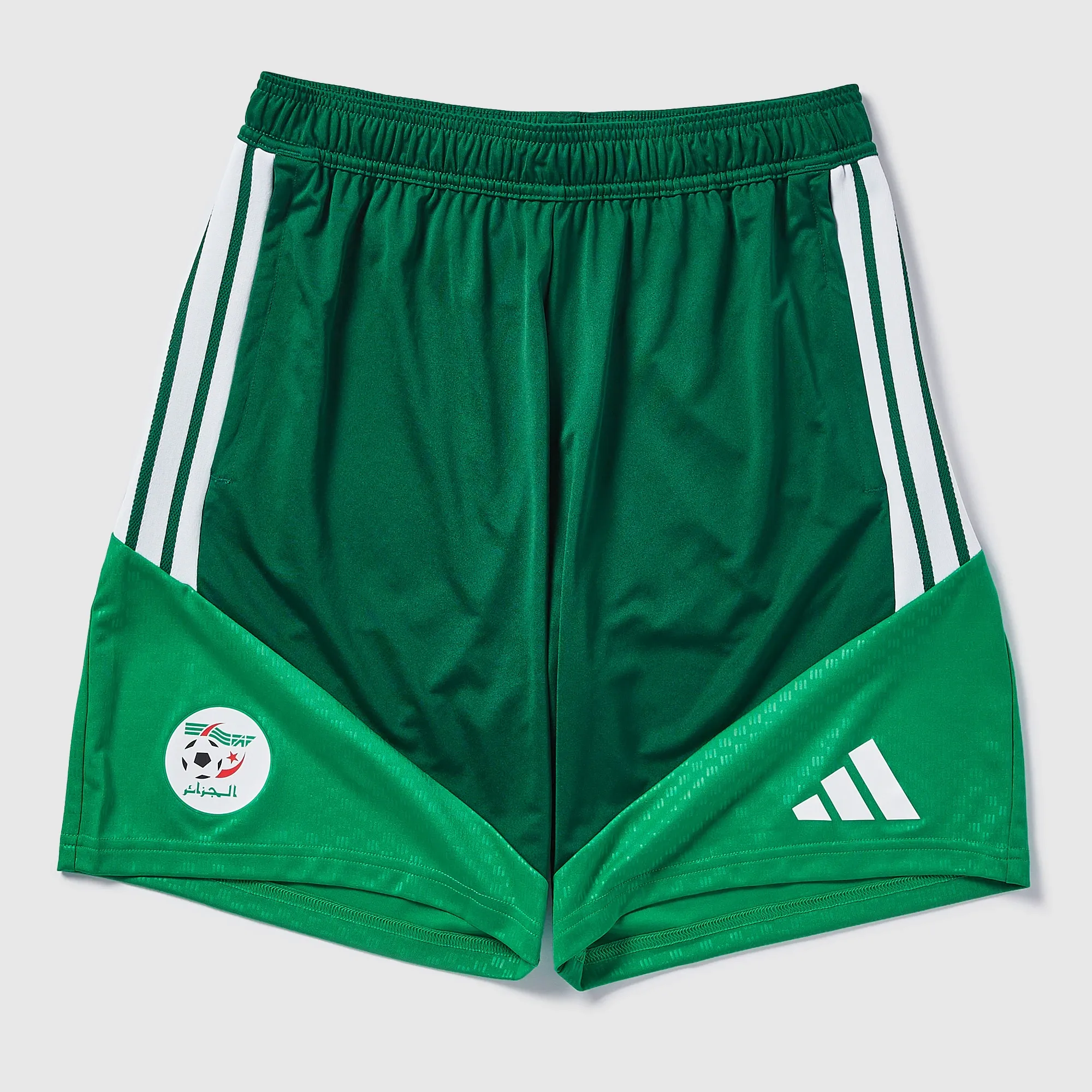 adidas Algeria 2026 Training Shorts