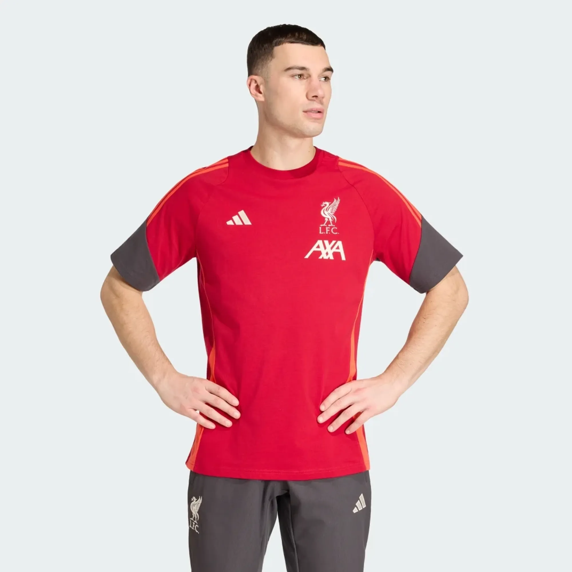 adidas Liverpool FC Tiro 25 Competition Cotton T-Shirt