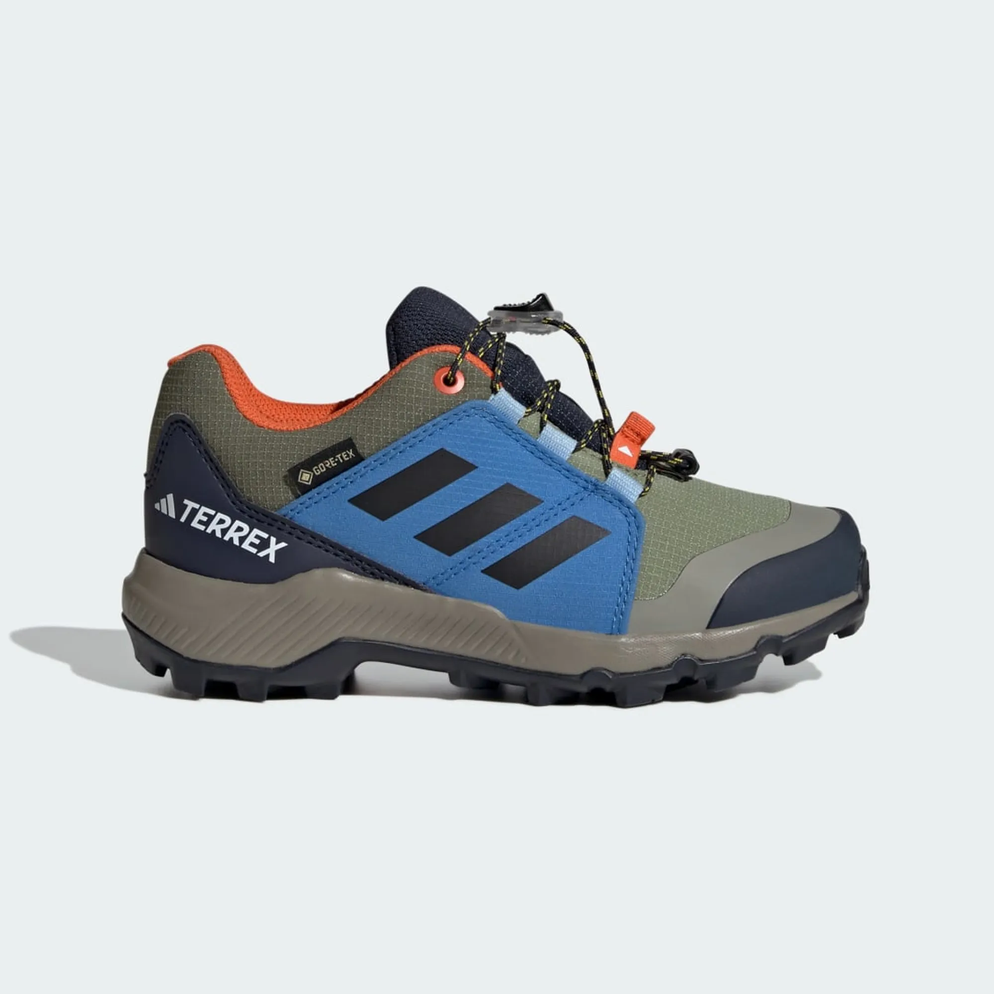 adidas Terrex GORE-TEX Hiking Shoes