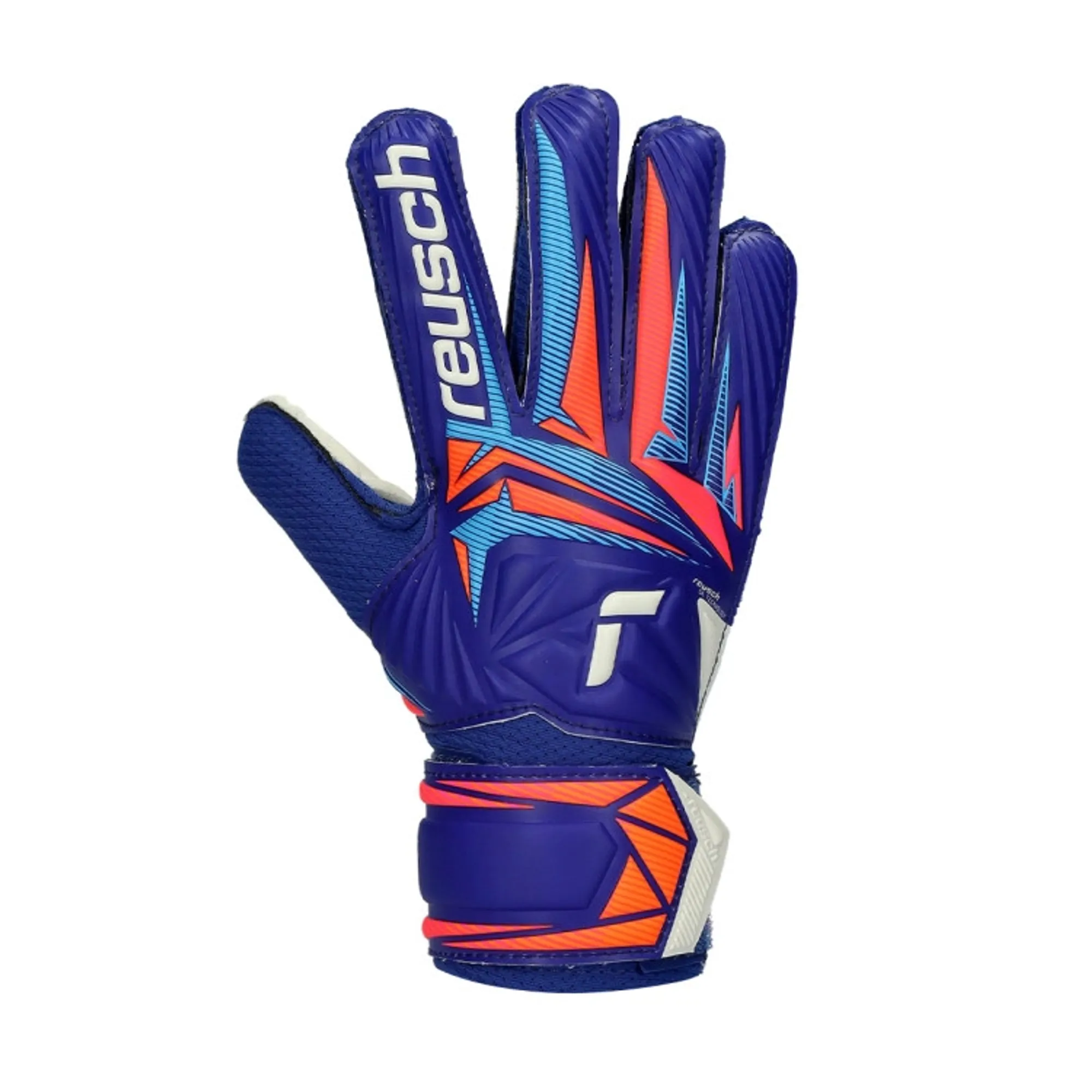 Reusch Goalkeeper Gloves Attrakt Solid - ['Blue']
