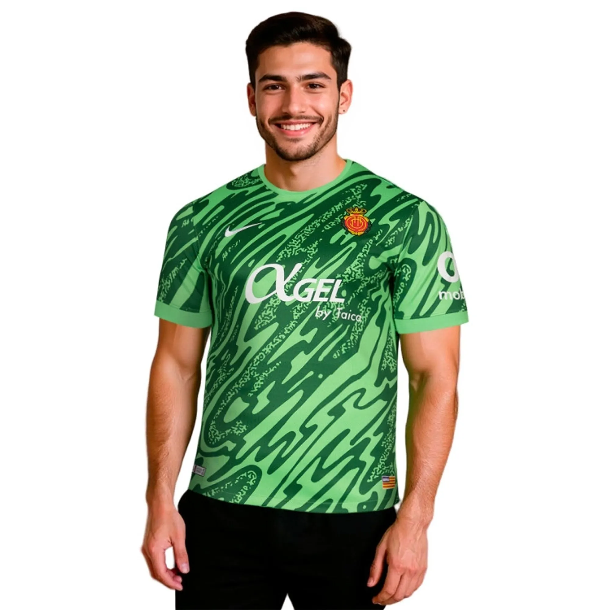 Nike Goalkeeper Shirt Dri-Fit Gardien V - ['Green']
