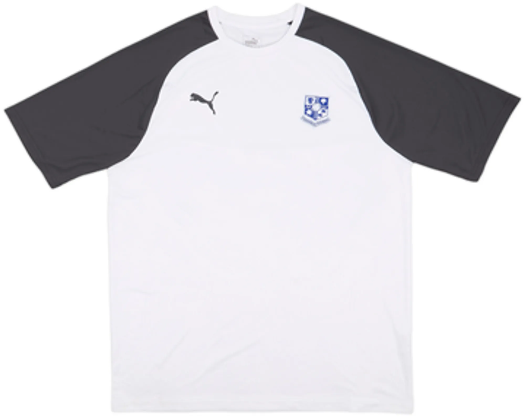 Puma Mens SS Home Shirt 2018/19