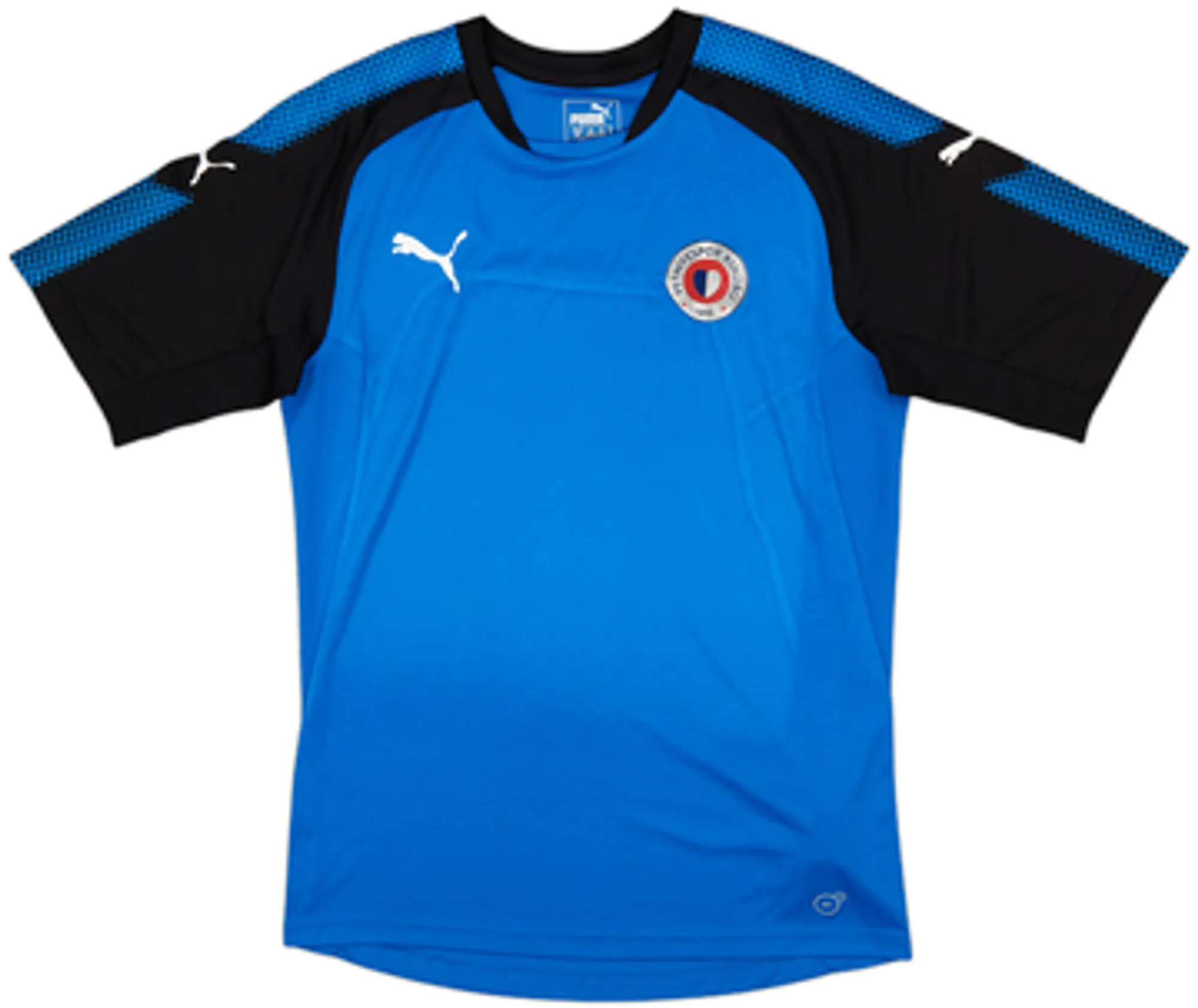 Puma Mens SS Home Shirt 2018/19