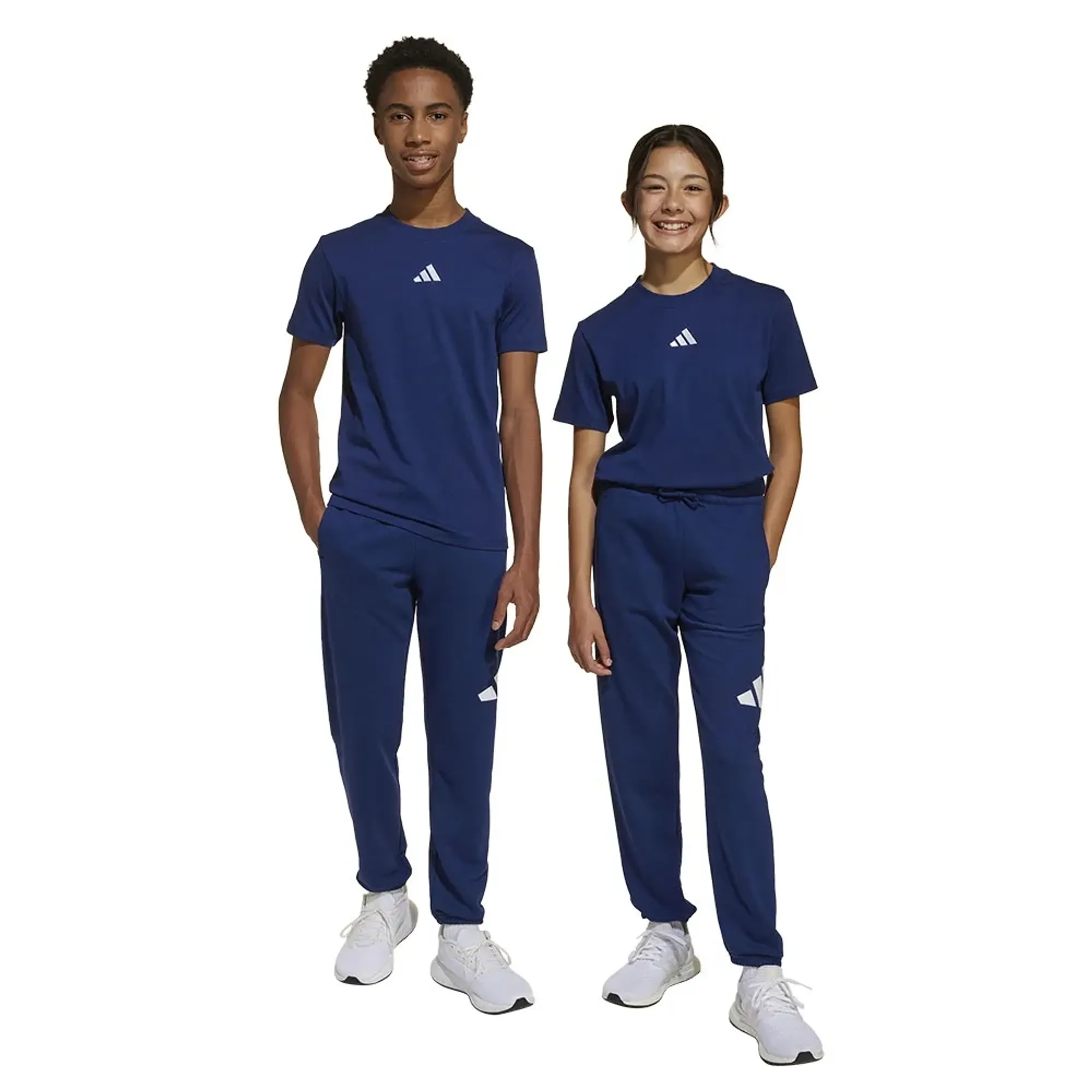 Adidas Essentials Big Logo Joggers
