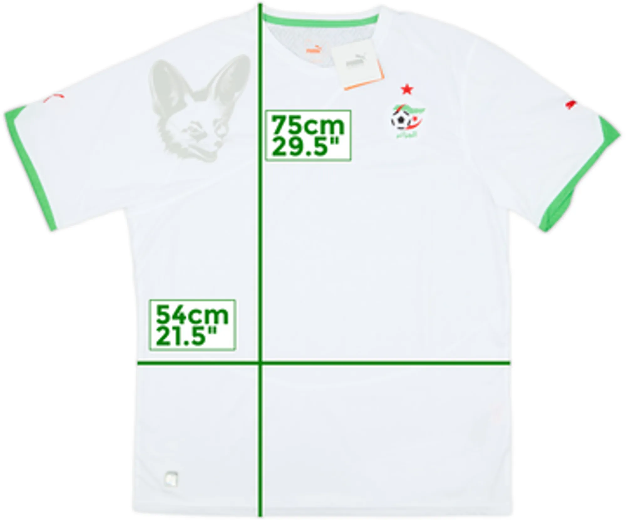 2010-11 Algeria Home Shirt (L)