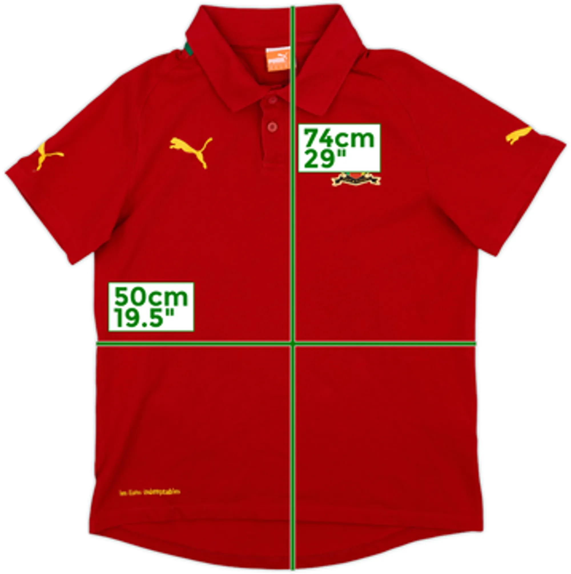 2012-14 Cameroon Puma Polo Shirt - 10/10 - (M)