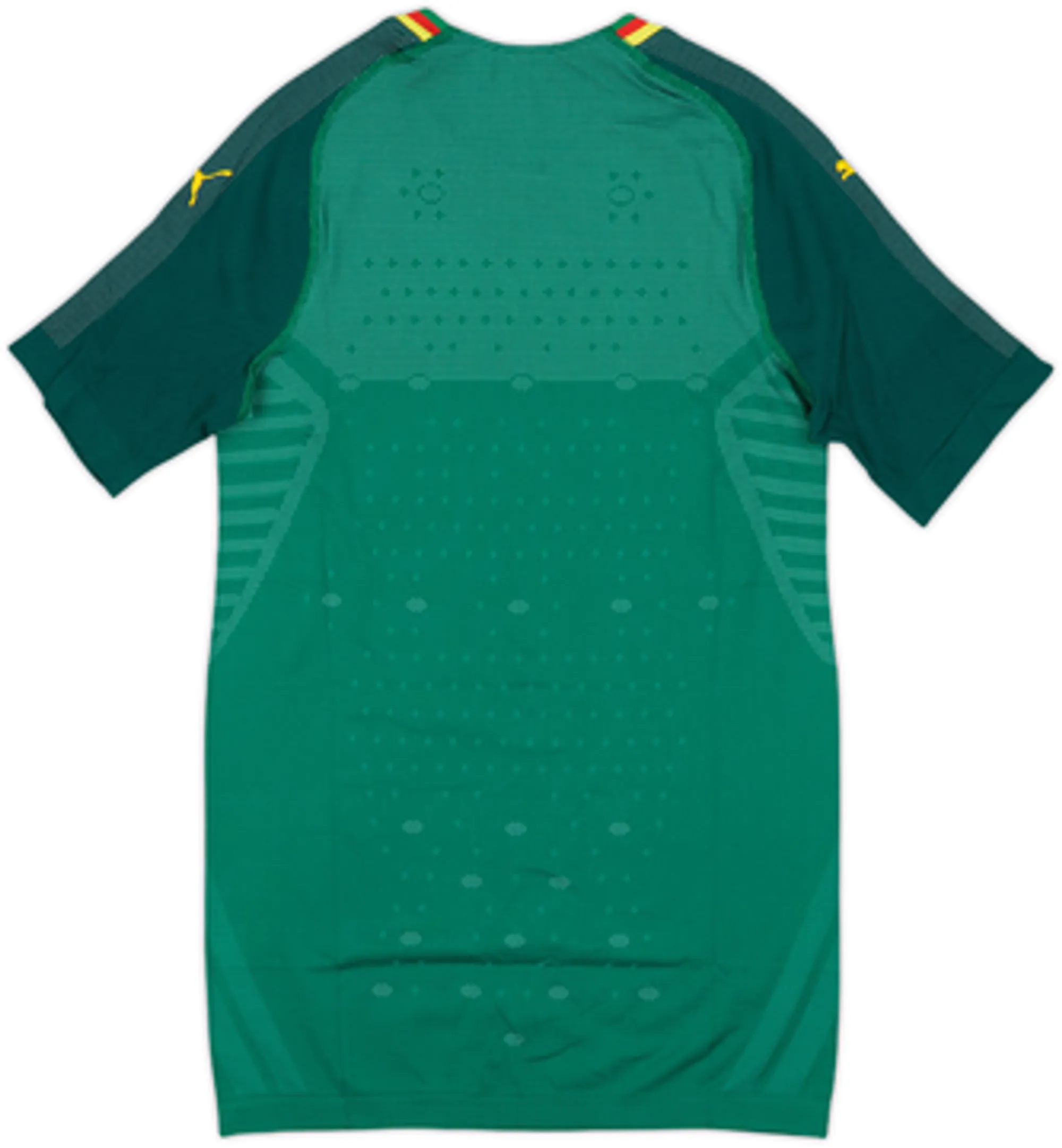2018-19 Cameroon Authentic Home Shirt (M)