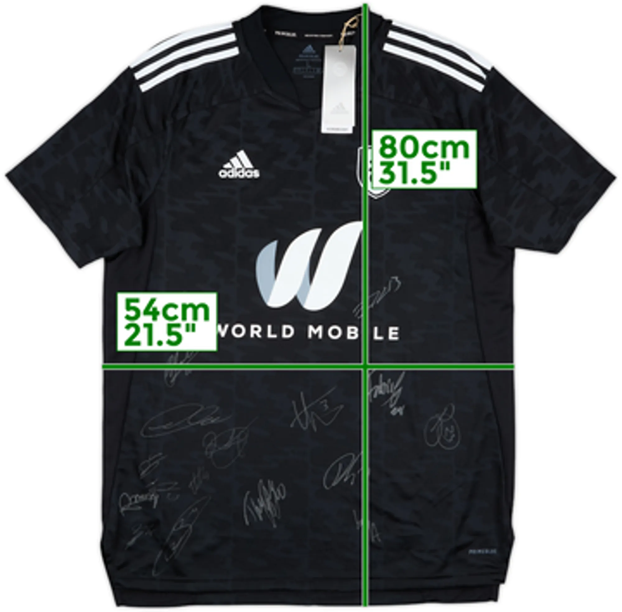 2022-23 Fulham Squad Signed Third Shirt (L)