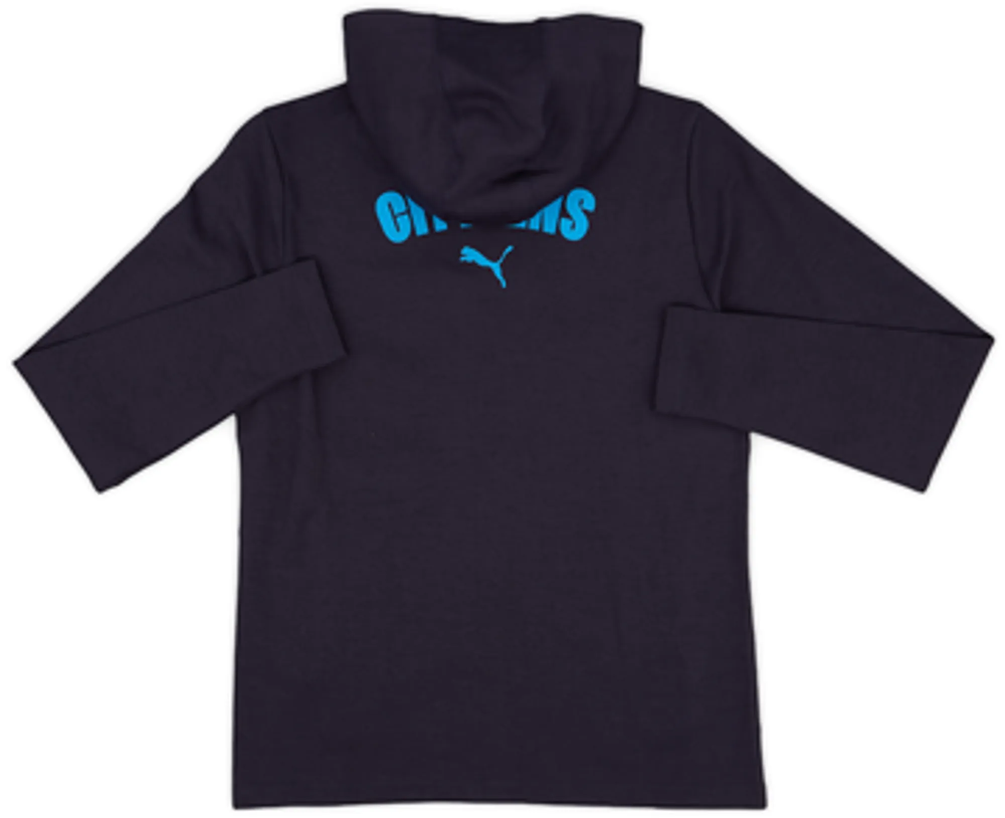 2024-25 Manchester City Puma Hooded Zip Top (S)