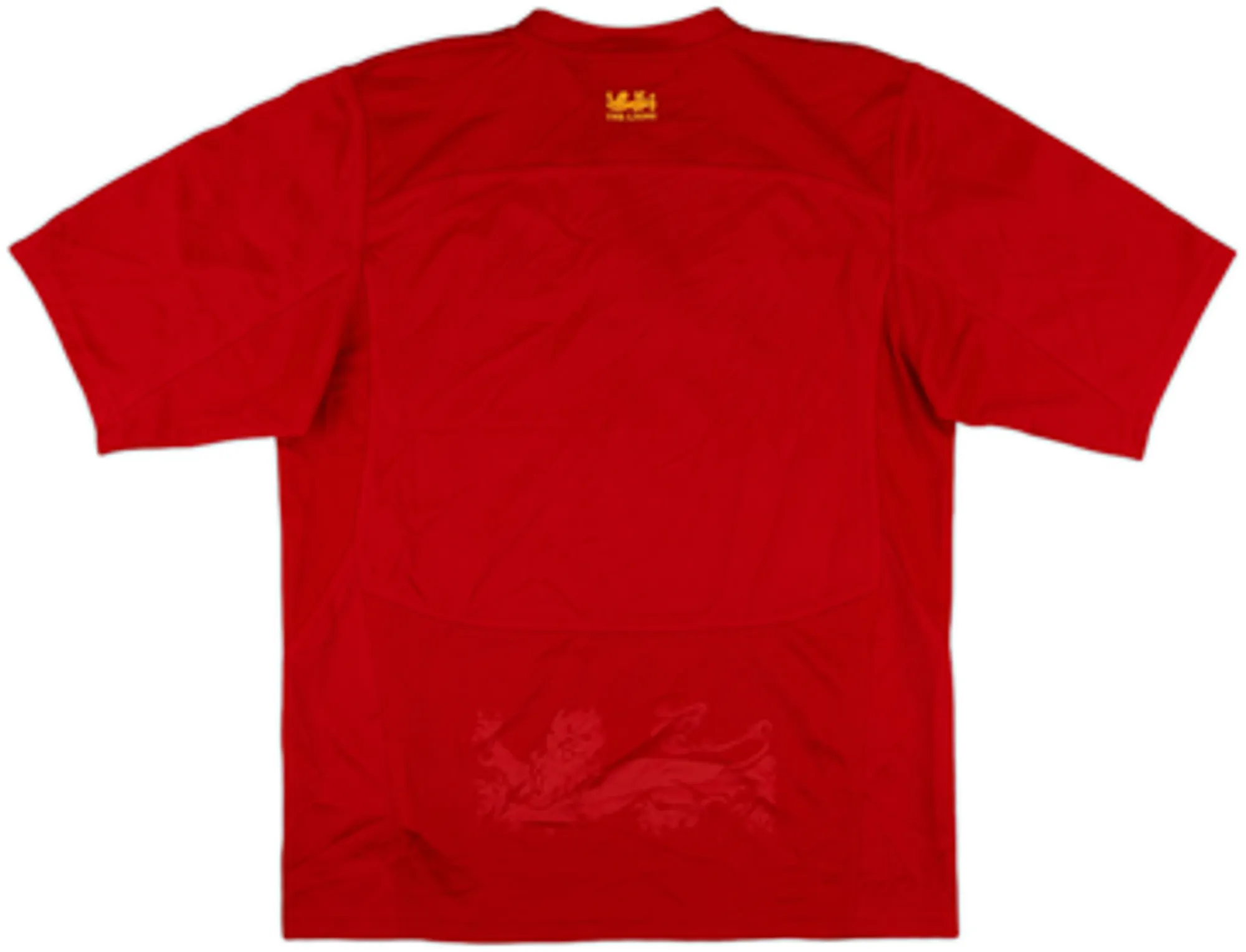 2009 British & Irish Lions Rugby Home Shirt - 5/10 - (M)