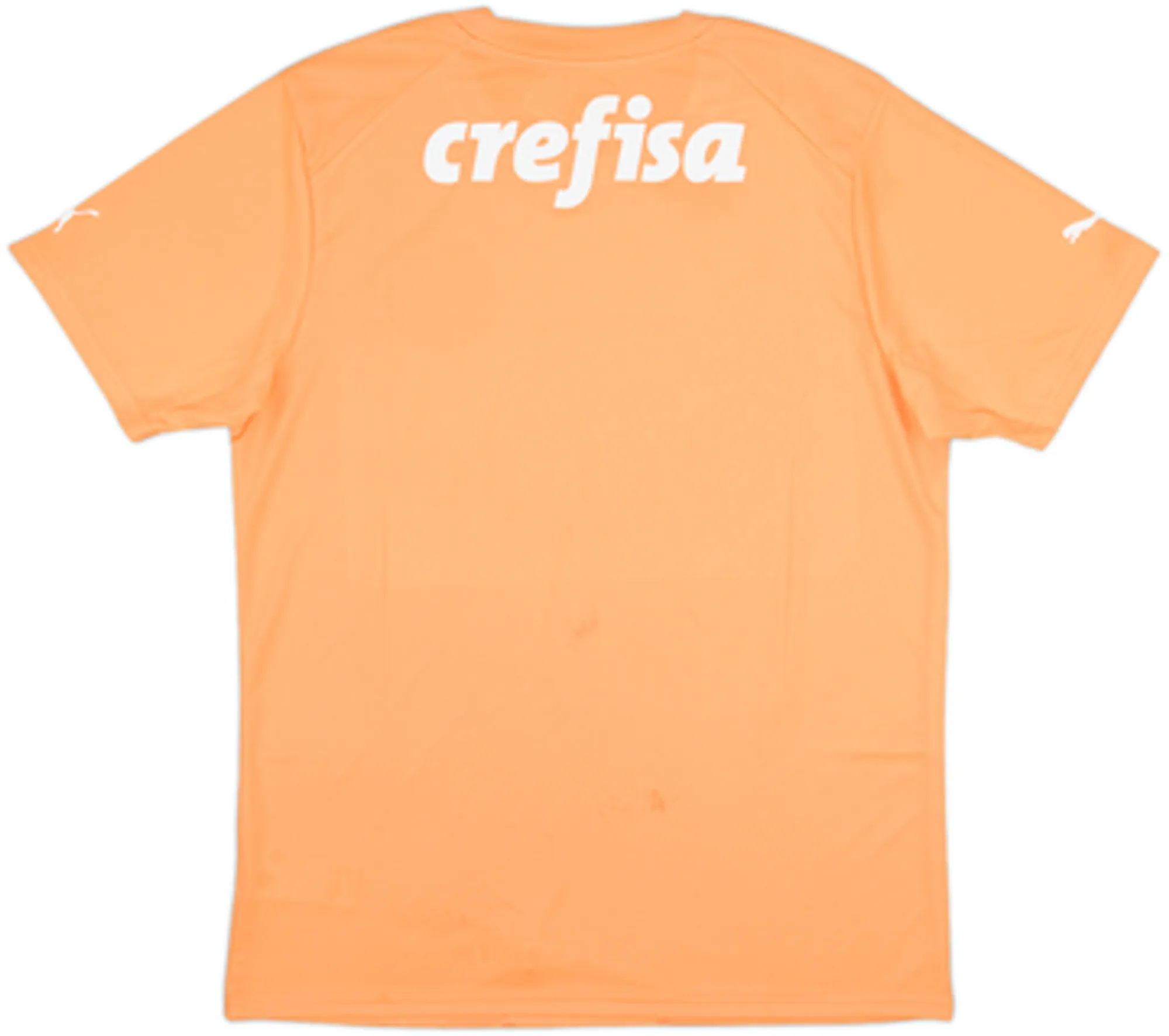 2023 Palmeiras GK S/S Shirt (L)