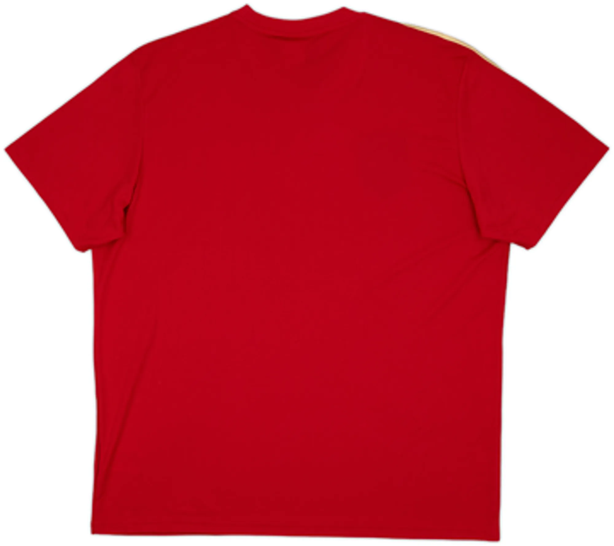 2013-14 Spain '2010 Campeones' adidas Training Shirt (L)