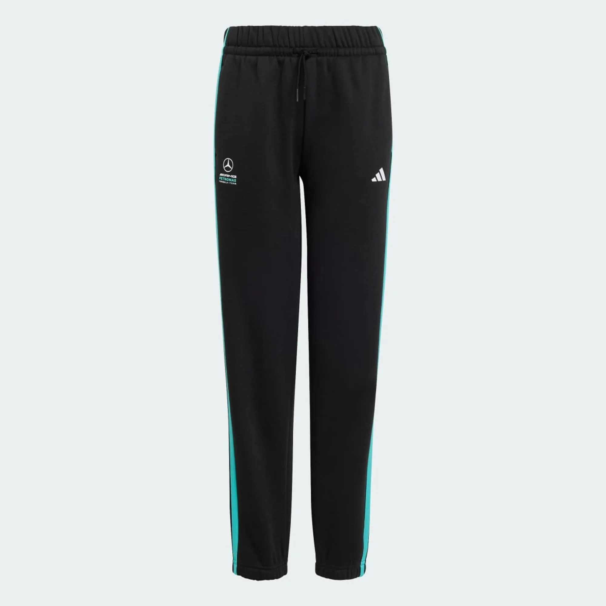 adidas MERCEDES - AMG PETRONAS FORMULA 1 TEAM DNA PANT