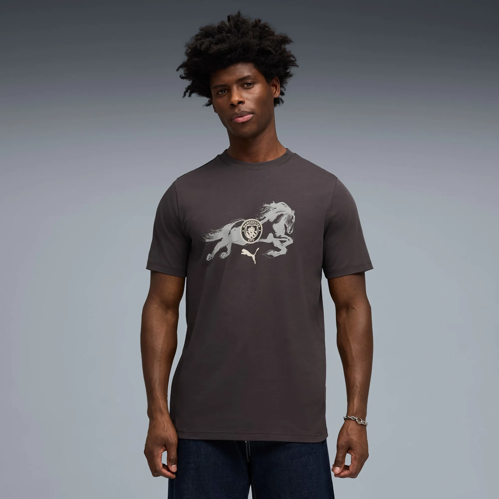PUMA Manchester City x Year Of The Horse T-Shirt Men, Flat Dark Grey/Grey Echo, size 3XL