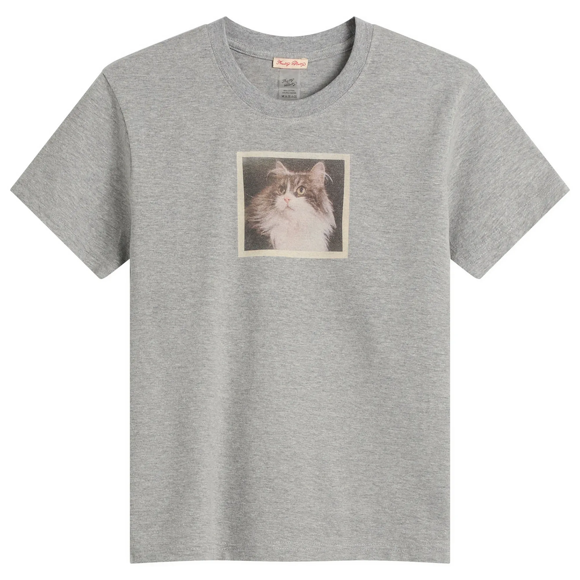 Fruity Booty Women's Cat T-Shirt Grey