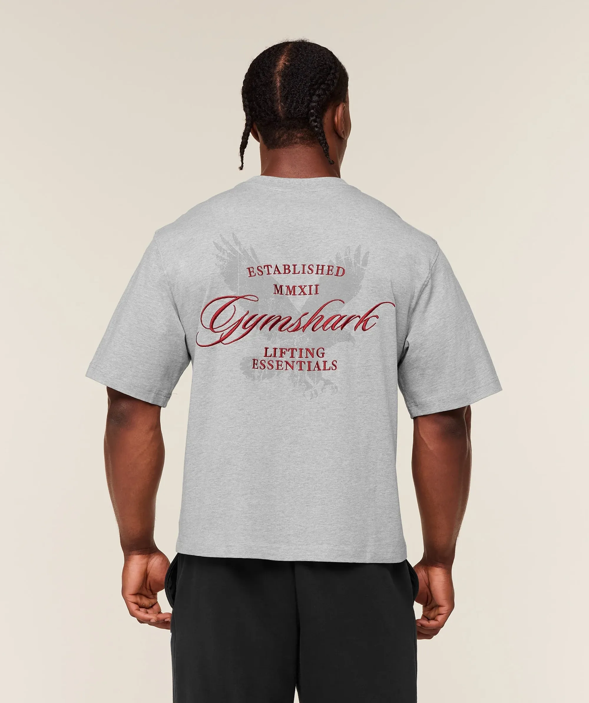 Gymshark Eagle Script Graphic T-Shirt - Light Grey Core Marl