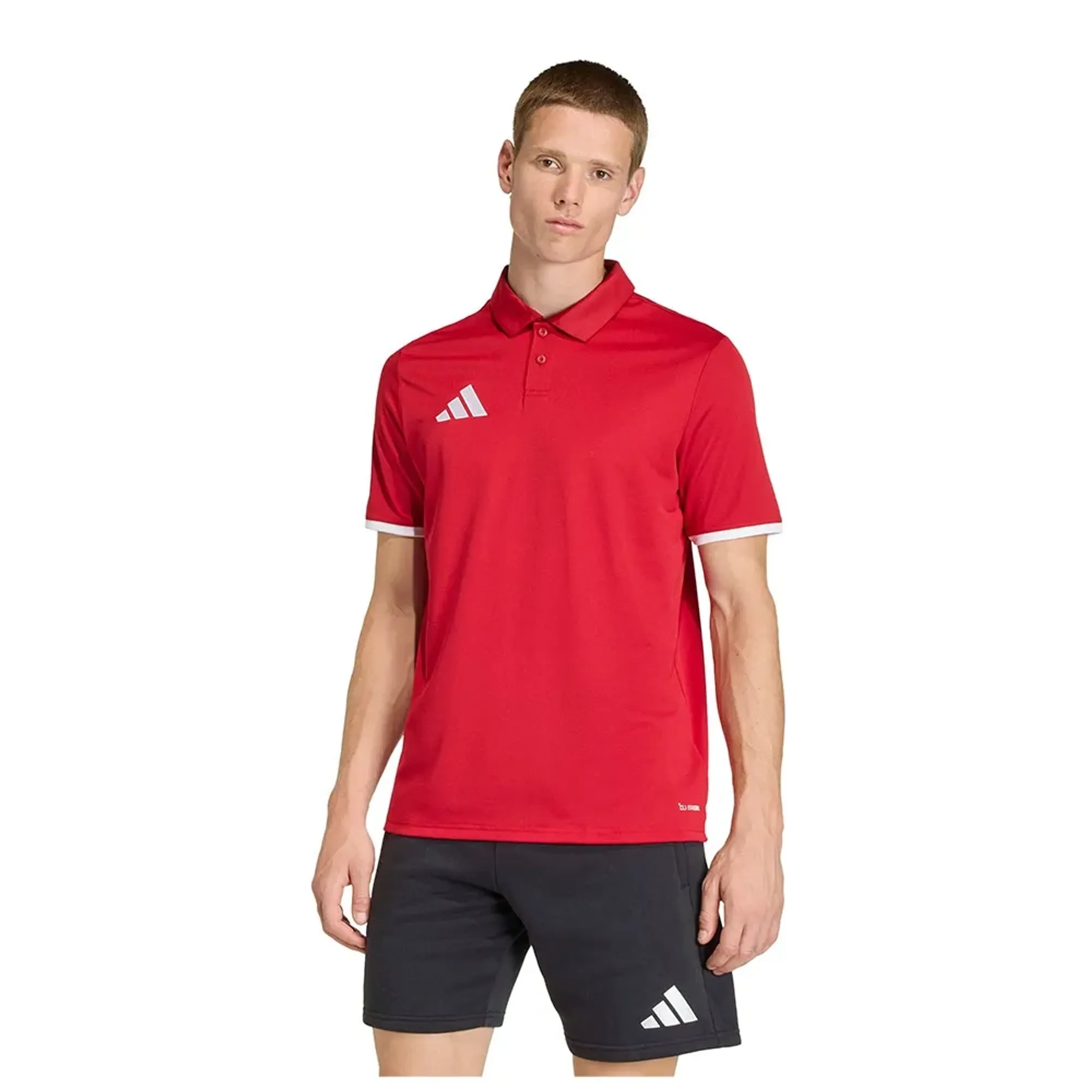 adidas Entrada 26 SS Polo