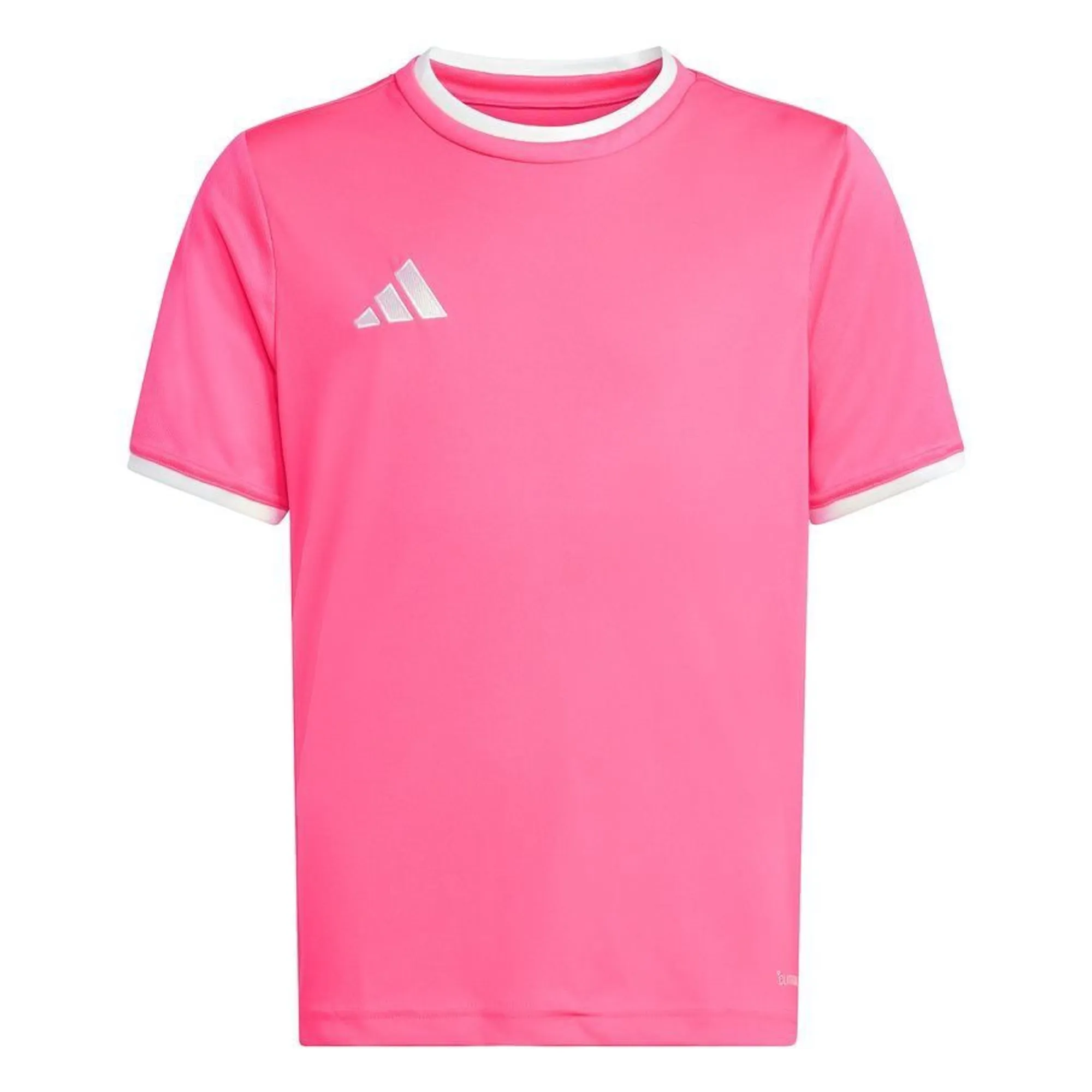 Adidas Playershirt Entrada 26 - ['Pink']