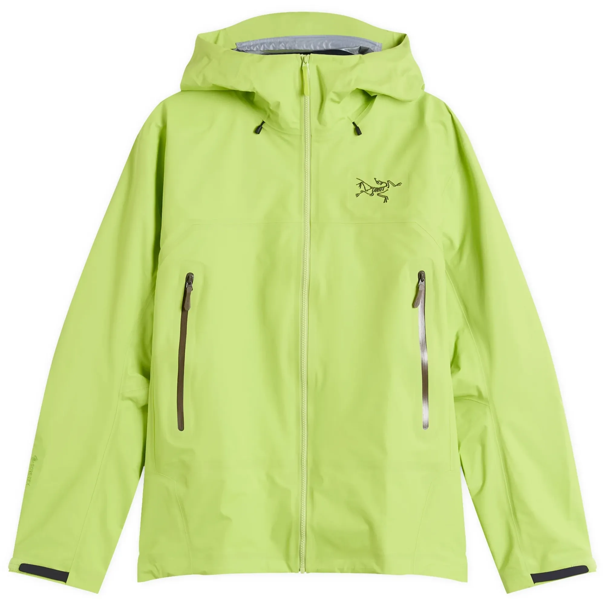 Arc'teryx Men's Beta SL Gore-Tex Jacket Mantis/Tatsu