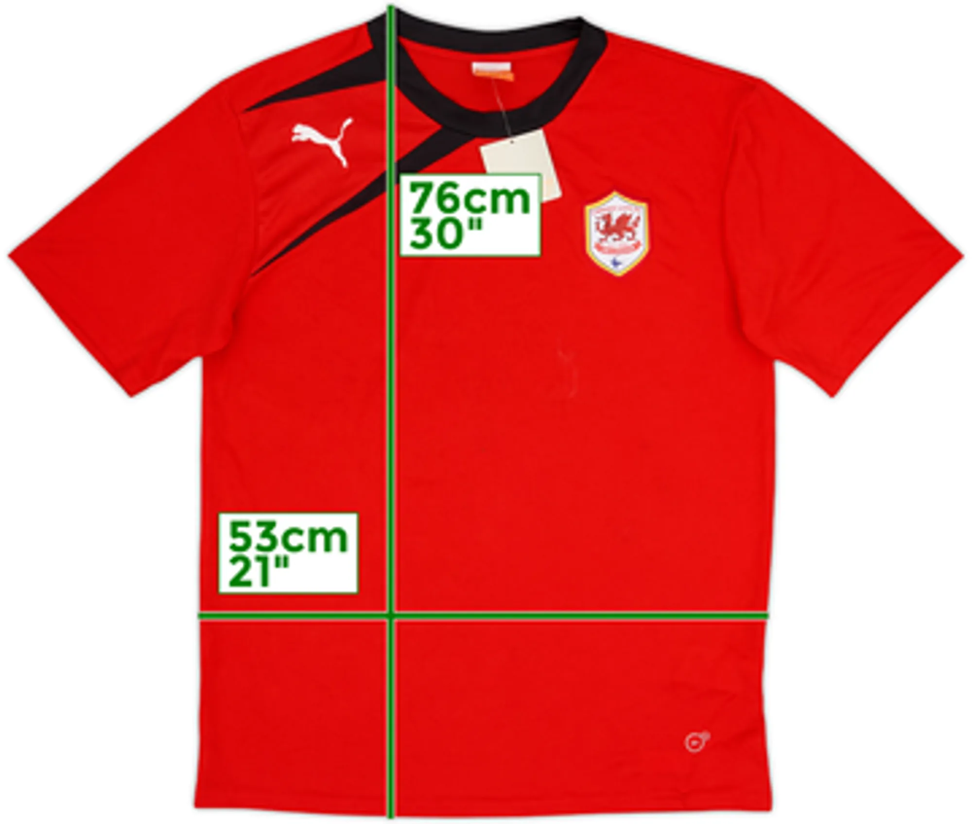 2012-13 Cardiff City Puma Training Shirt (L)
