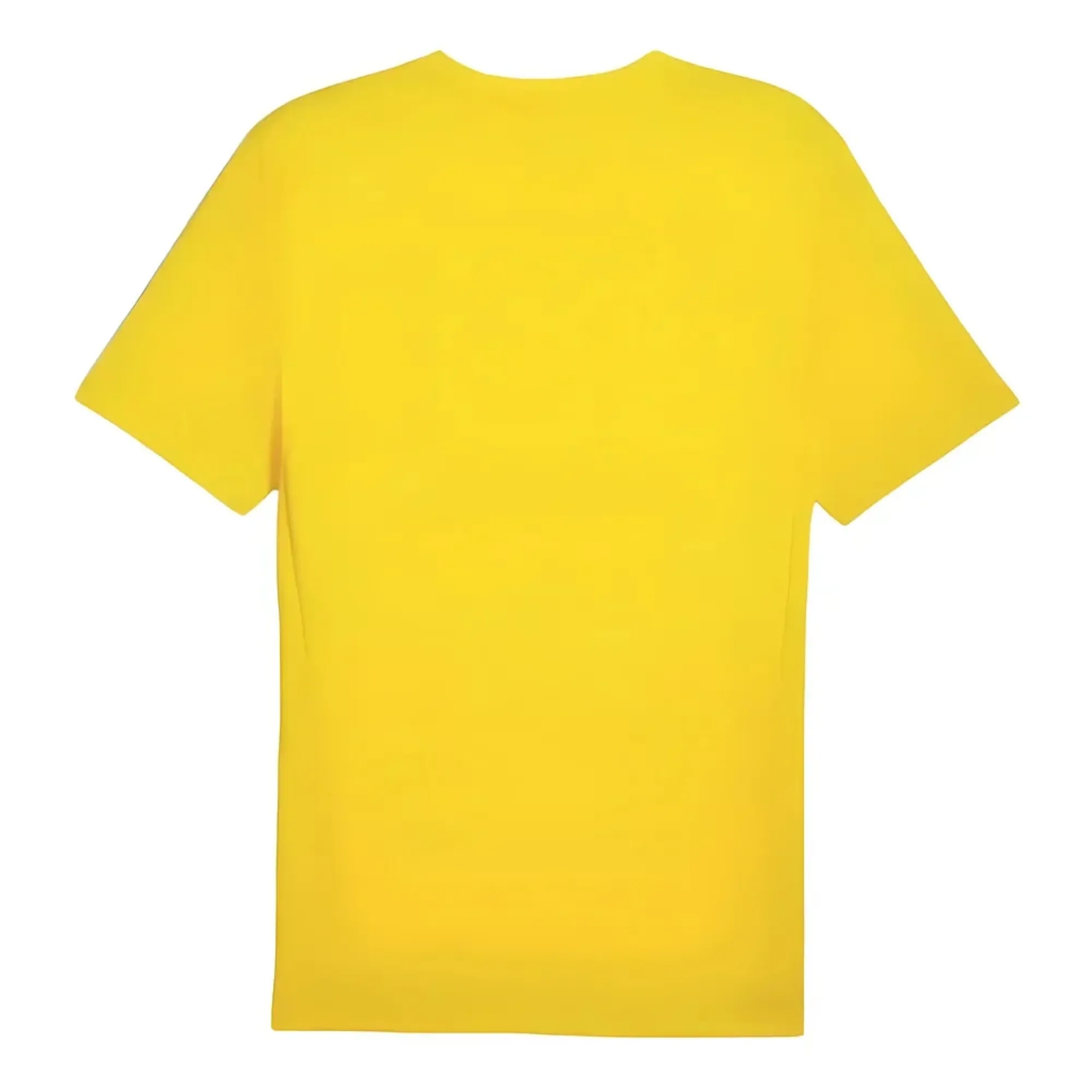 2024-2025 Borussia Dortmund Training Shirt (Yellow)