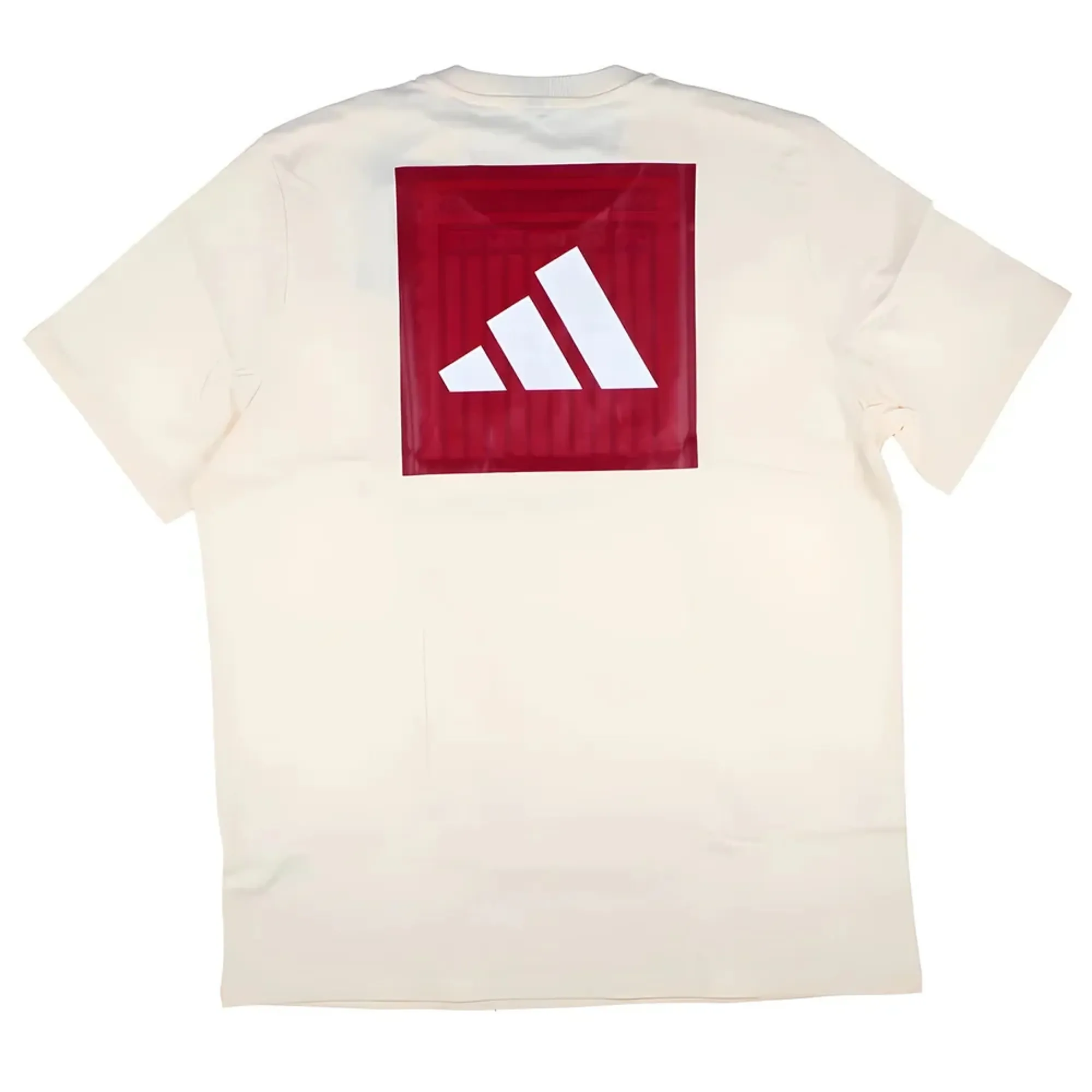 2025-2026 Liverpool Seasonal Graphic Tee (Ecru Tint)